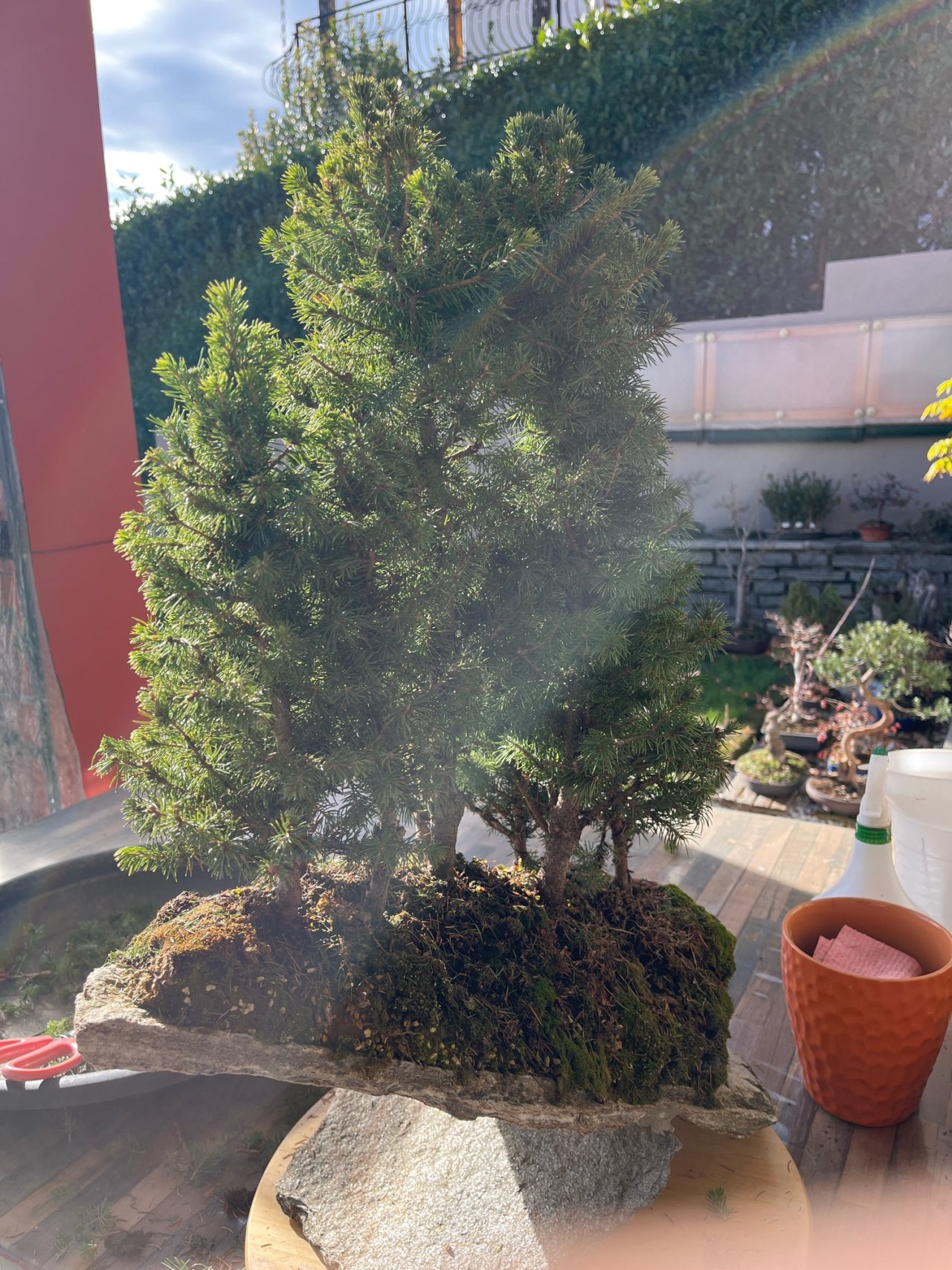 Photo 23