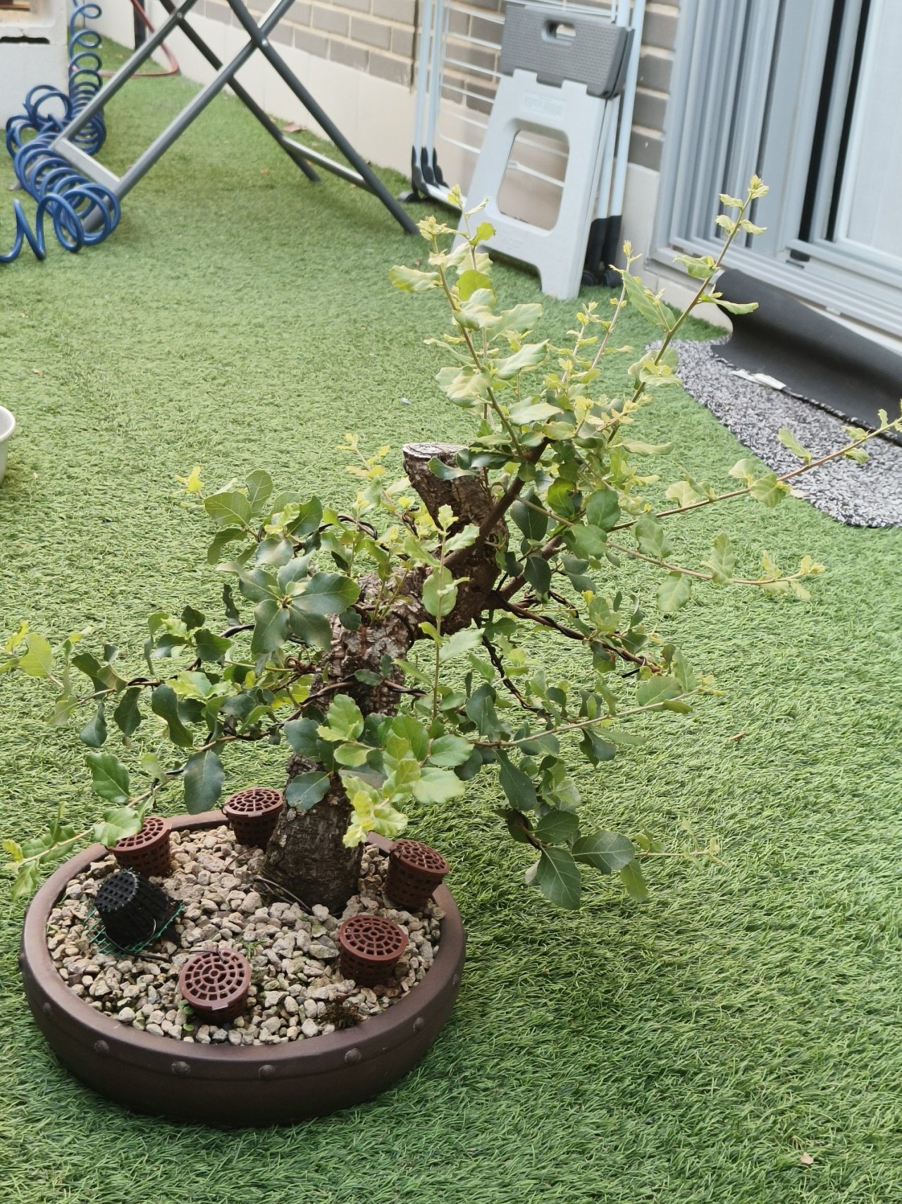 Photo 17