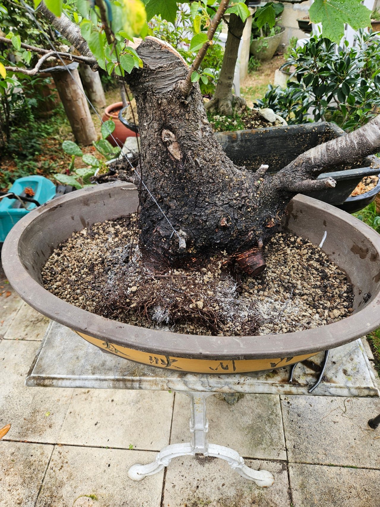 Photo 18