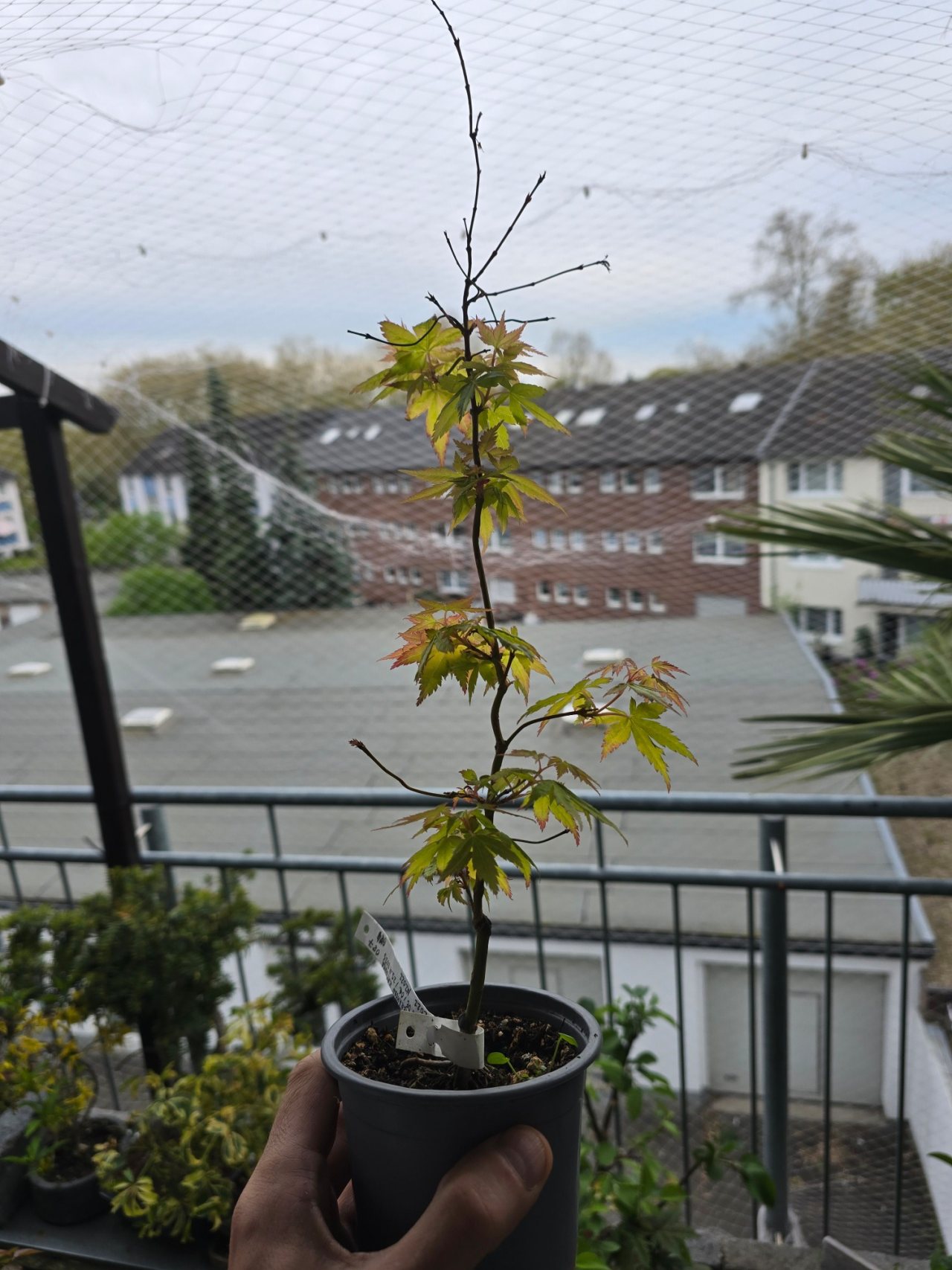 Photo 20