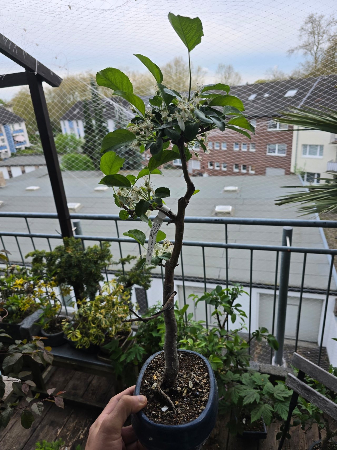 Photo 16