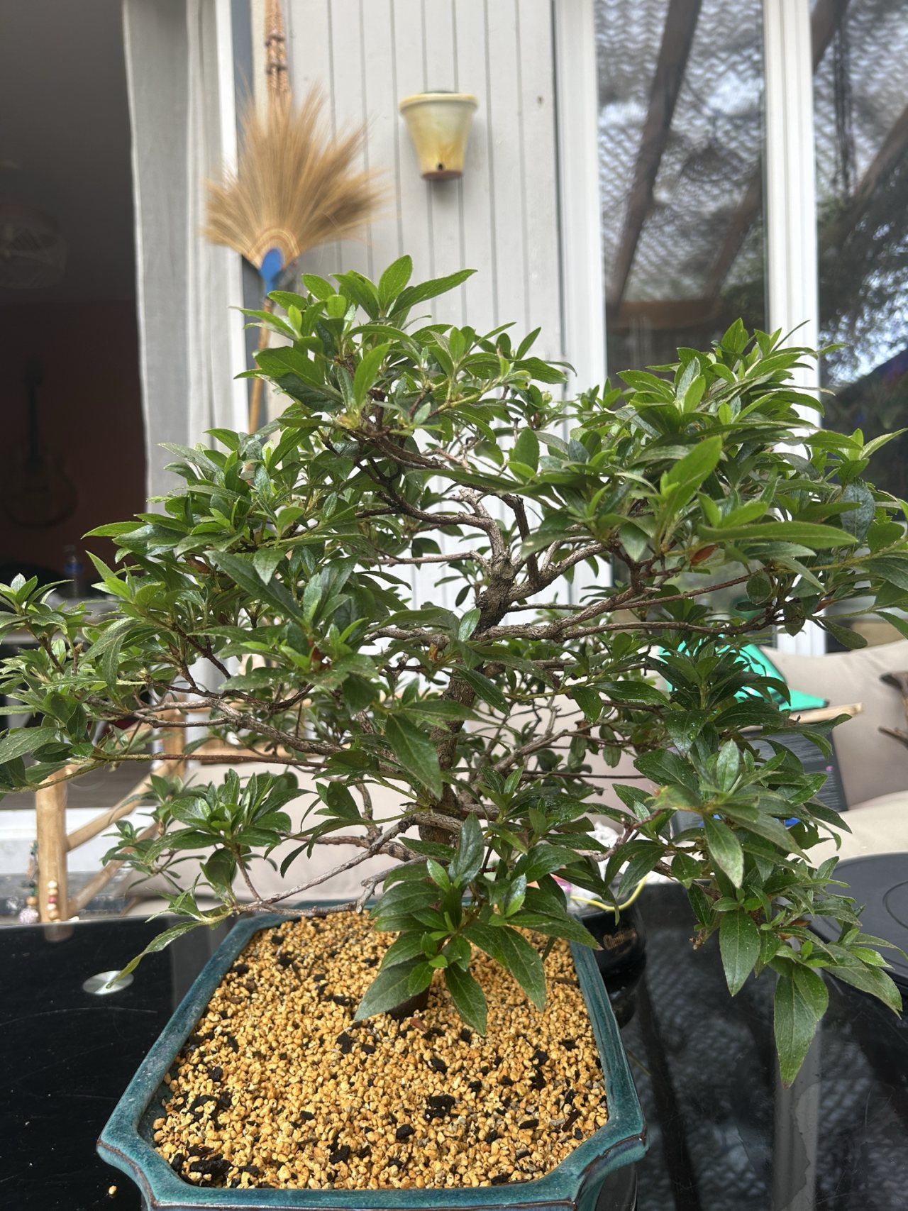 Photo 25