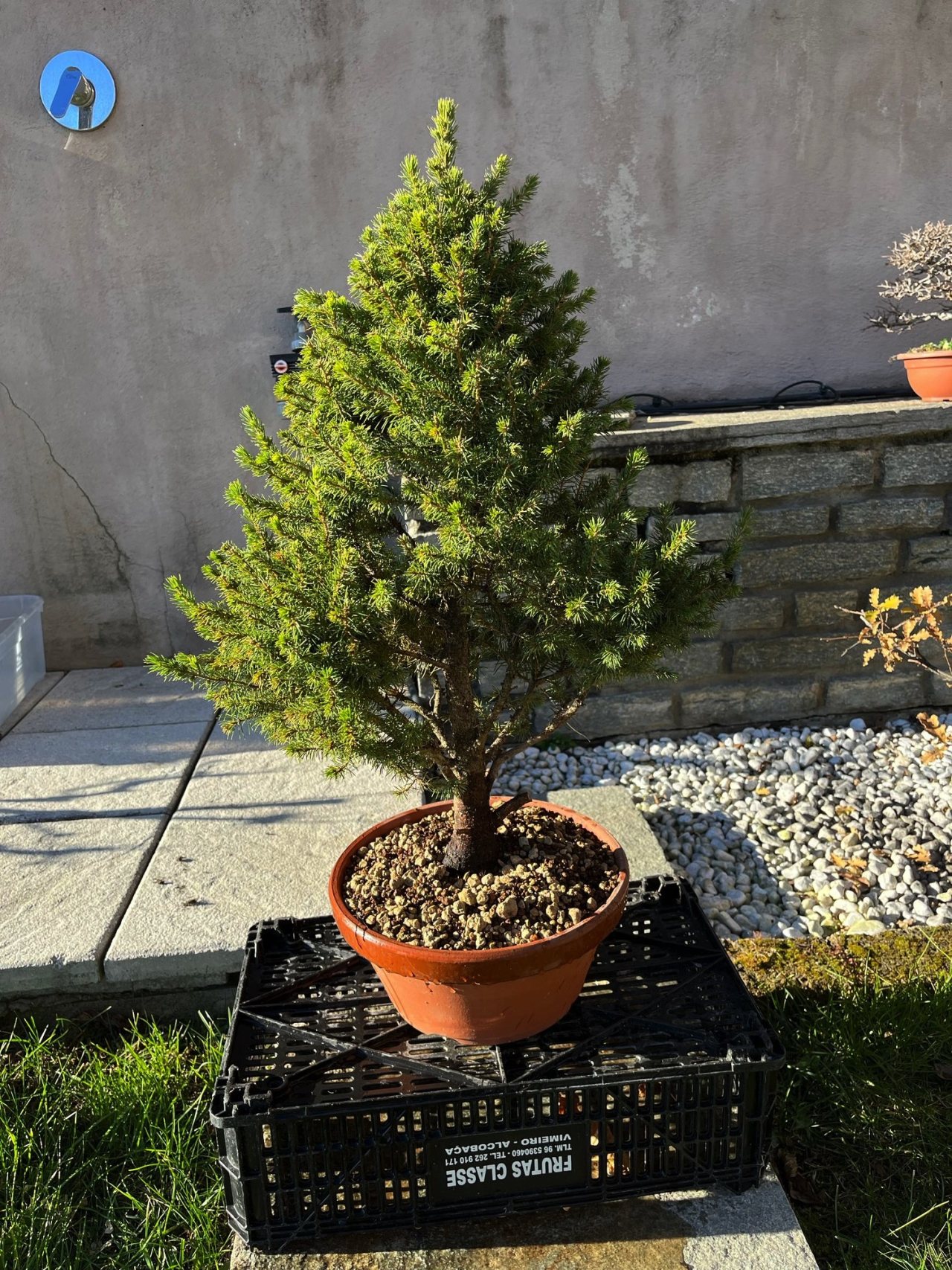Photo 14