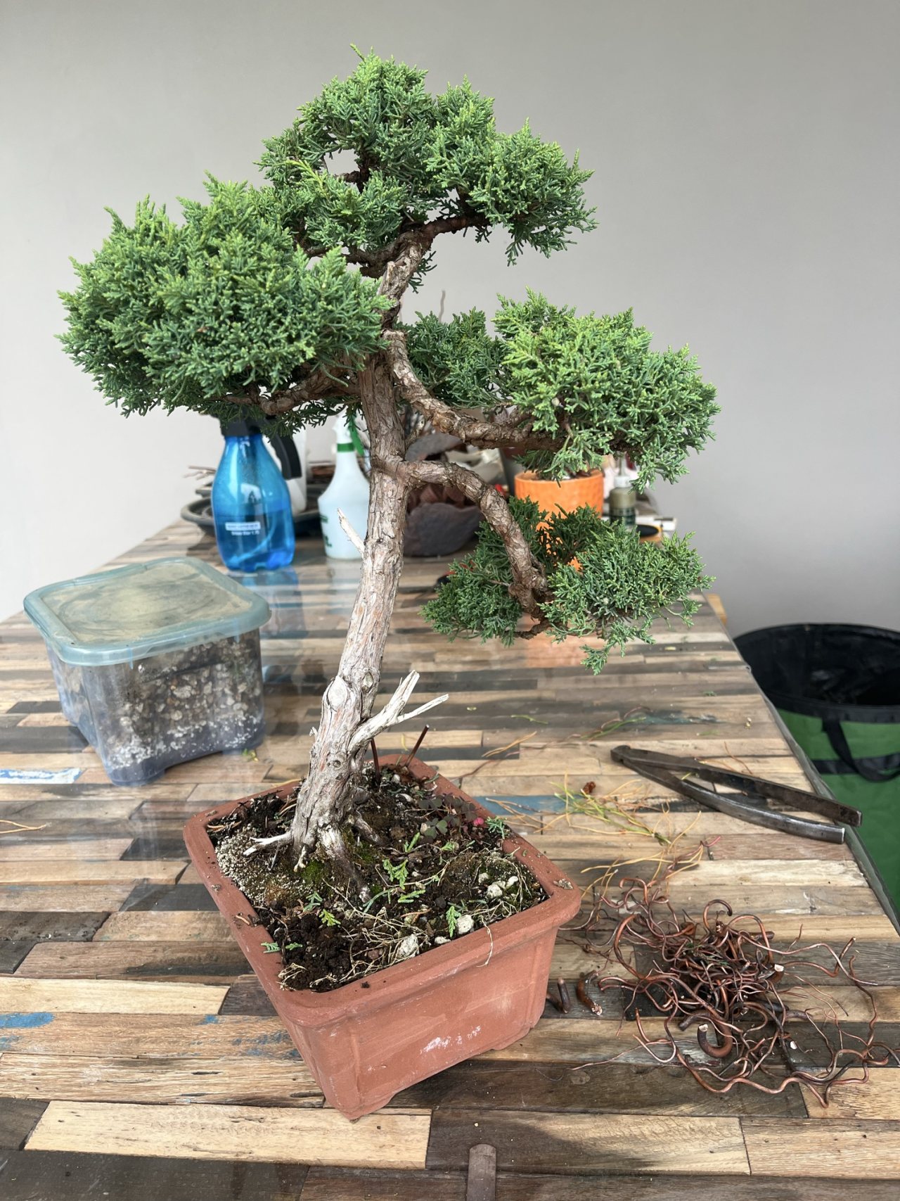 Photo 16