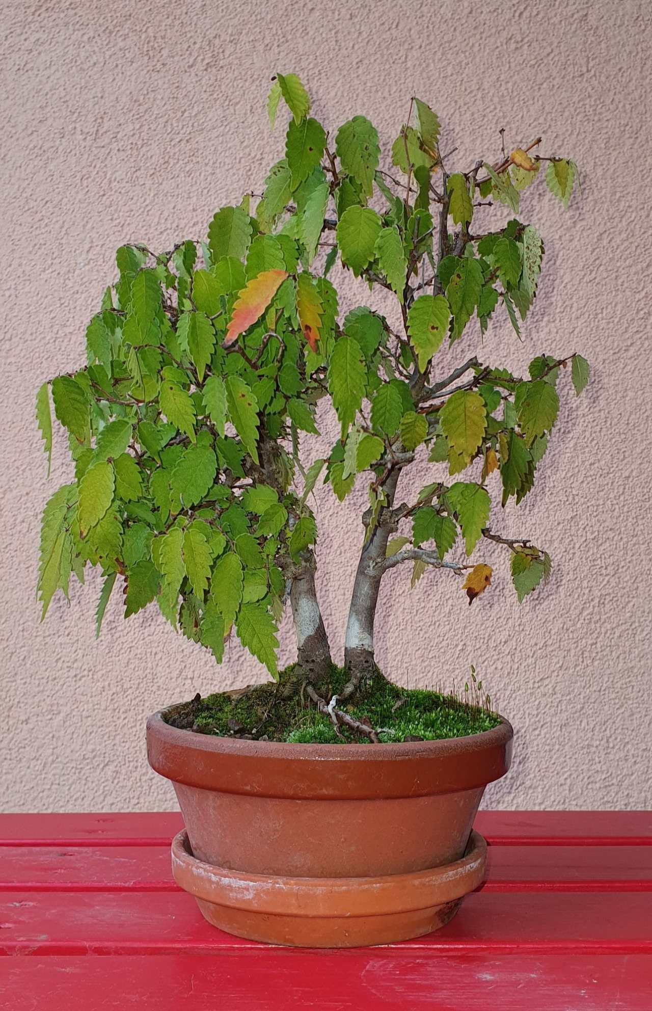 Photo 3