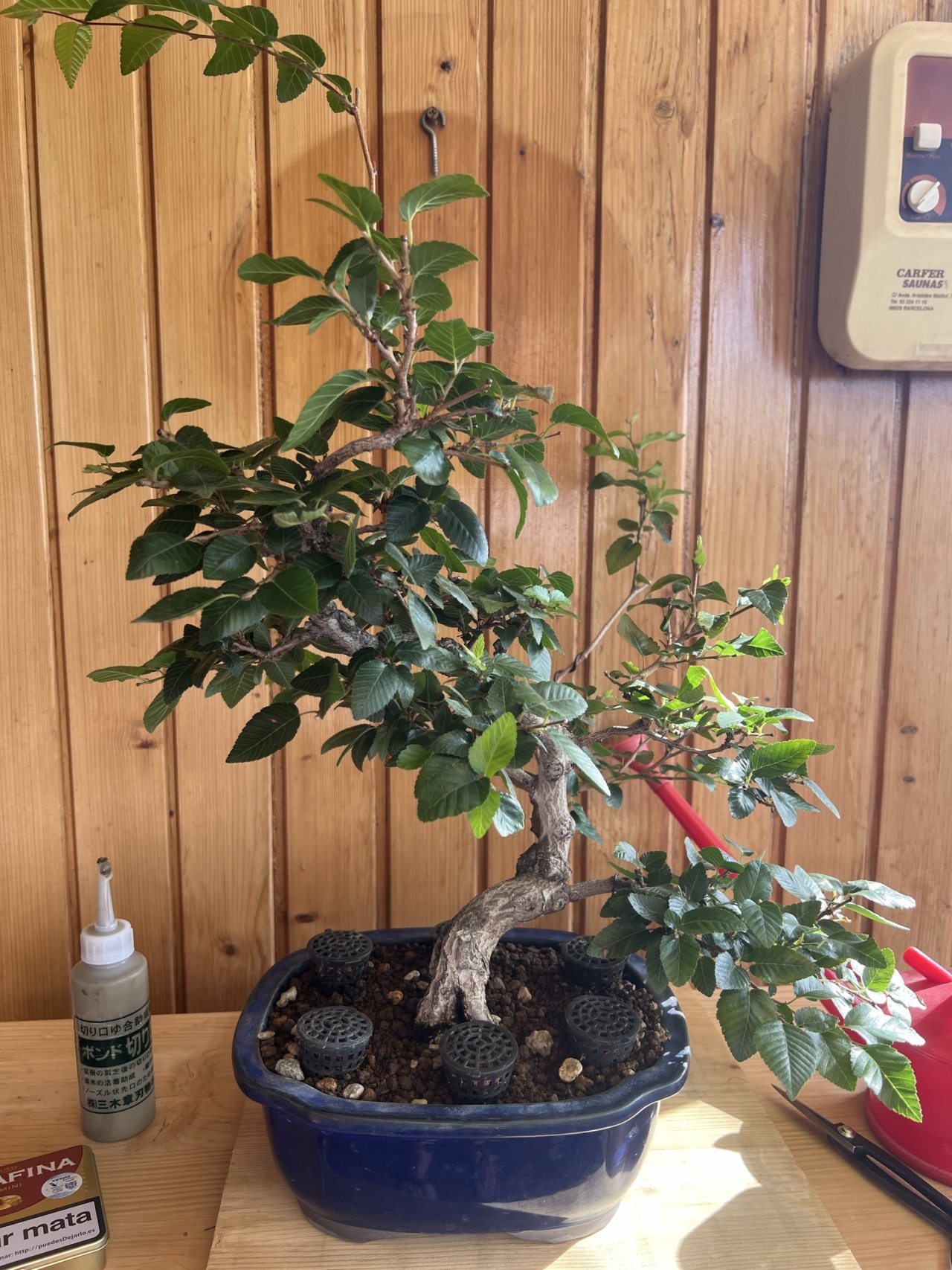 Photo 19