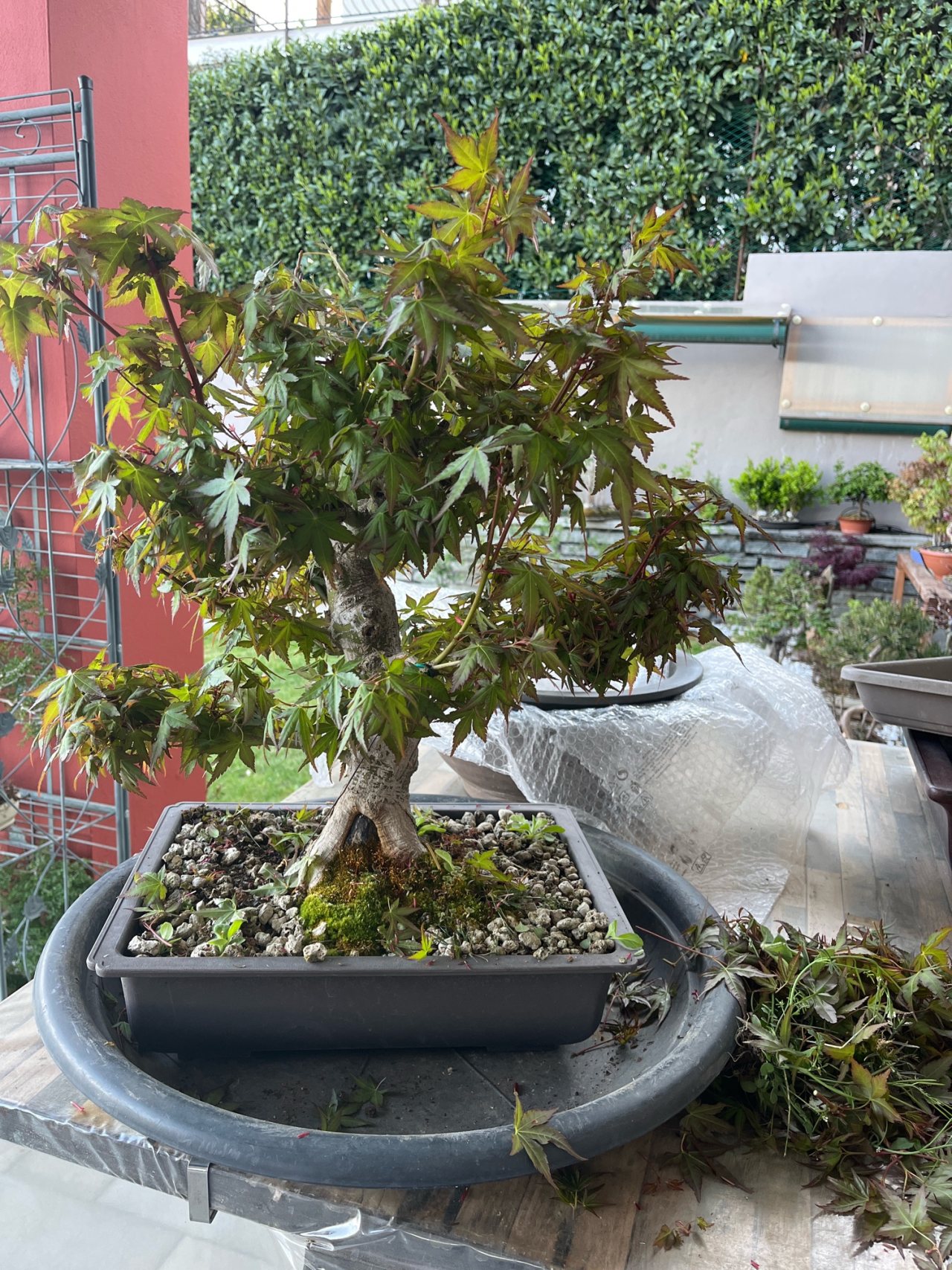 Photo 19