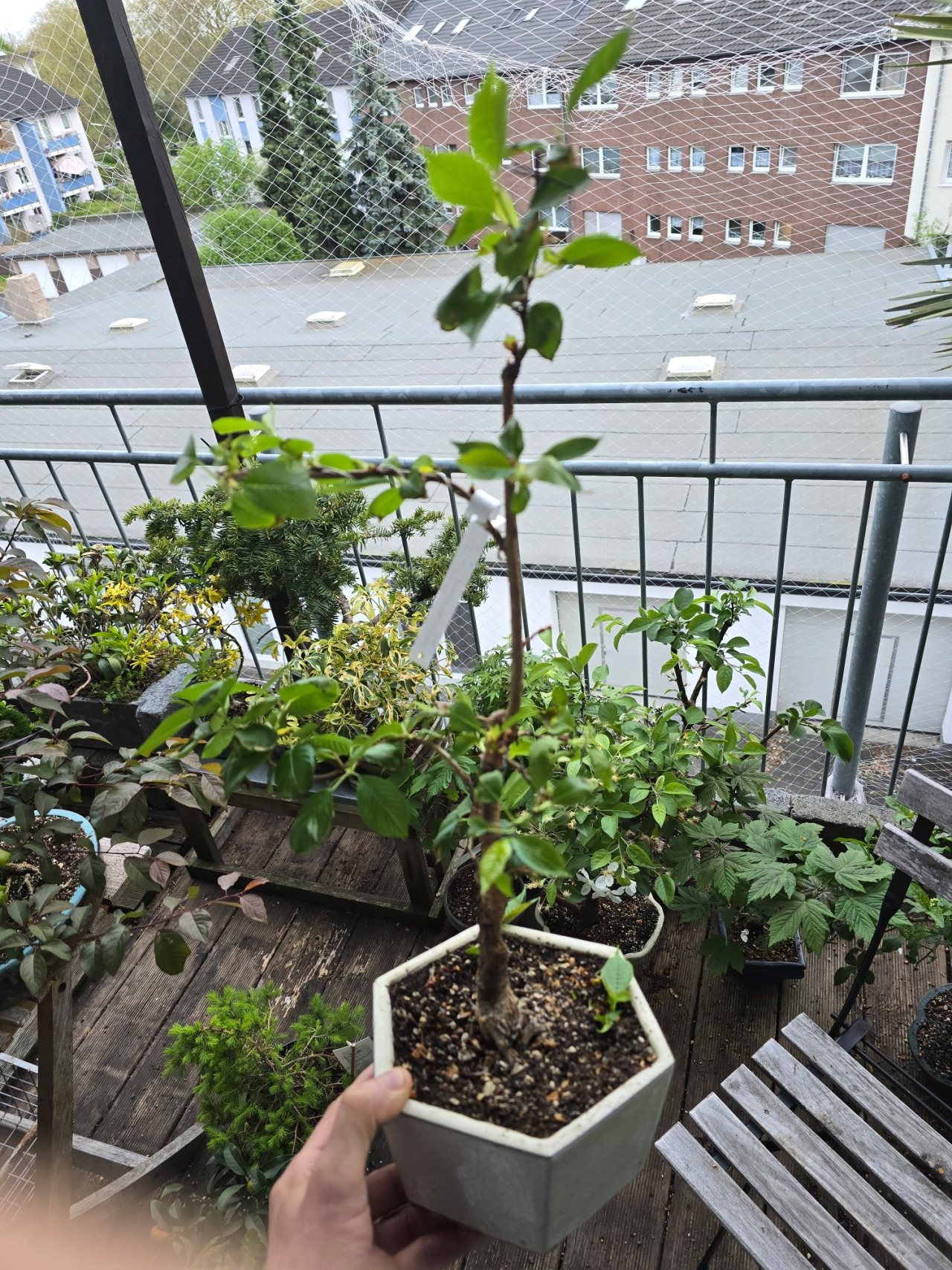 Photo 14
