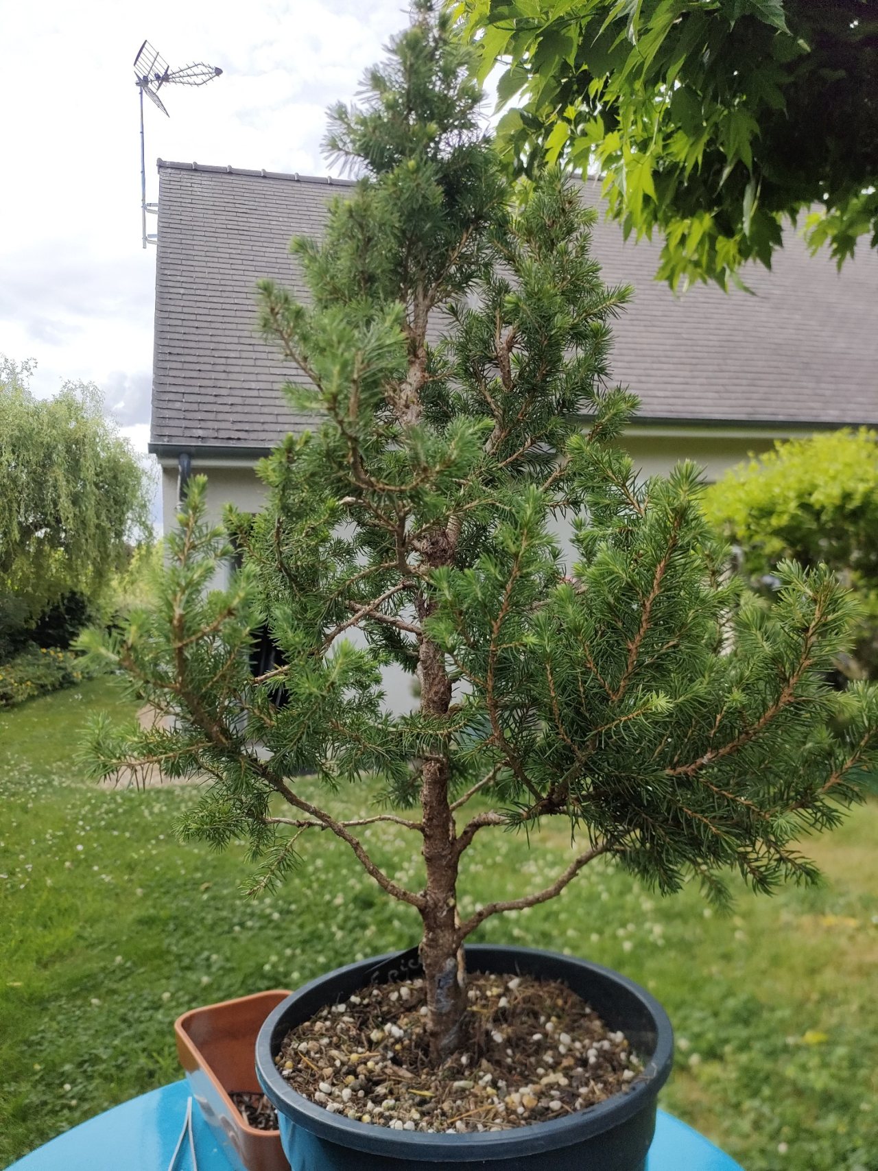 Photo 17