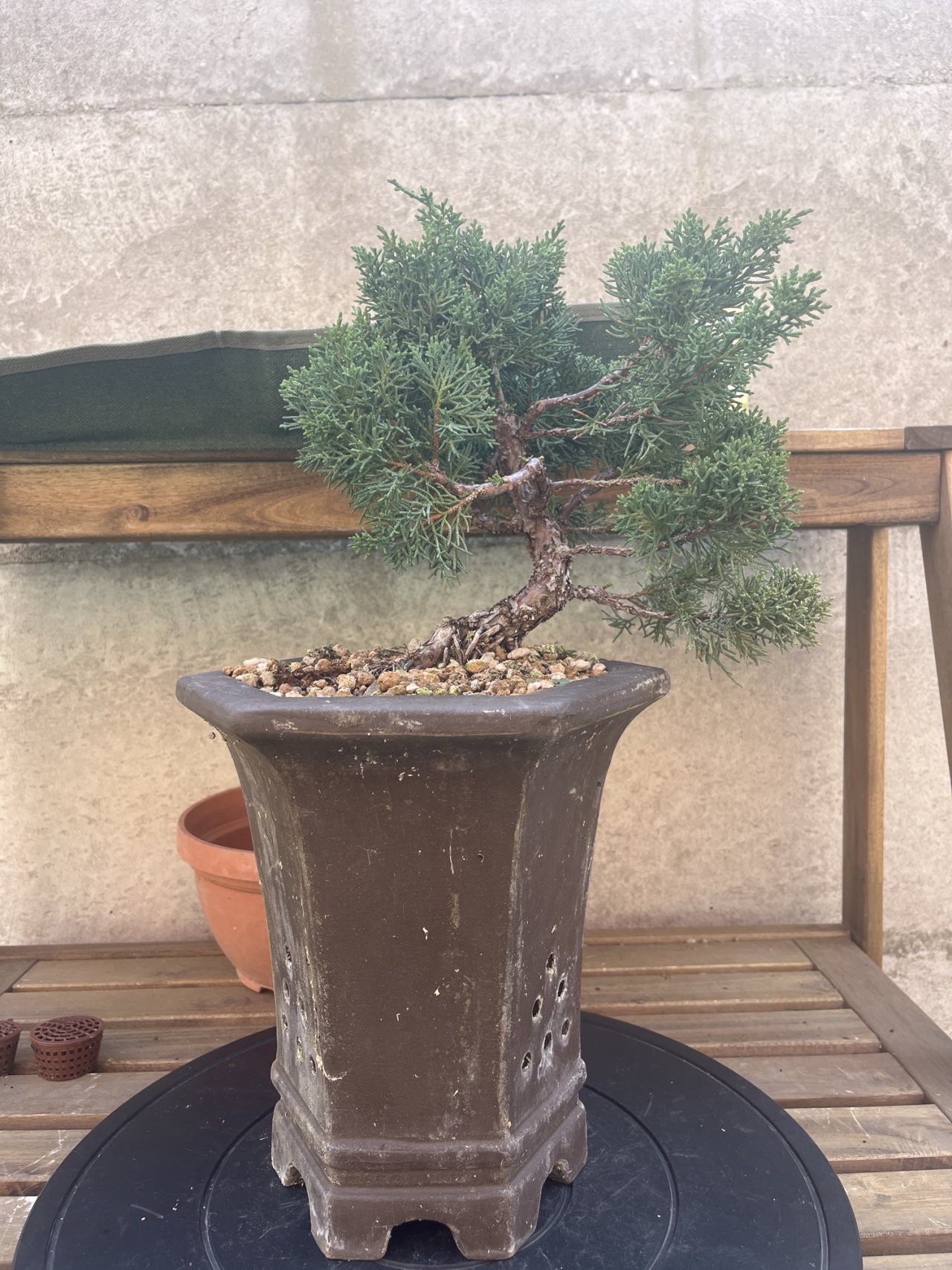 Photo 21