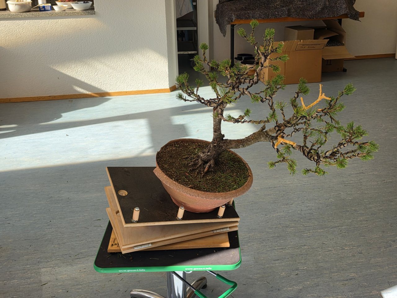 Photo 6