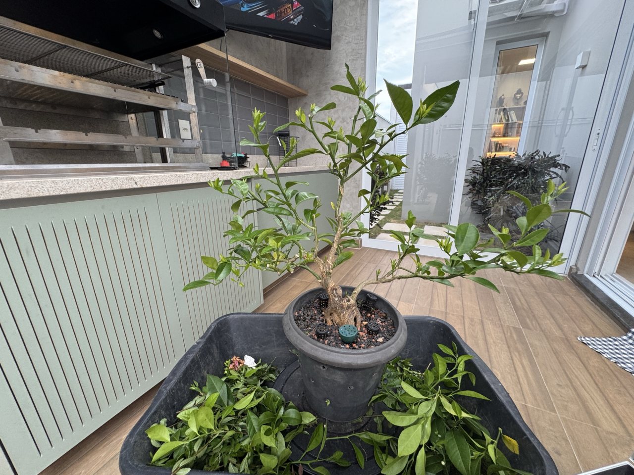 Photo 19