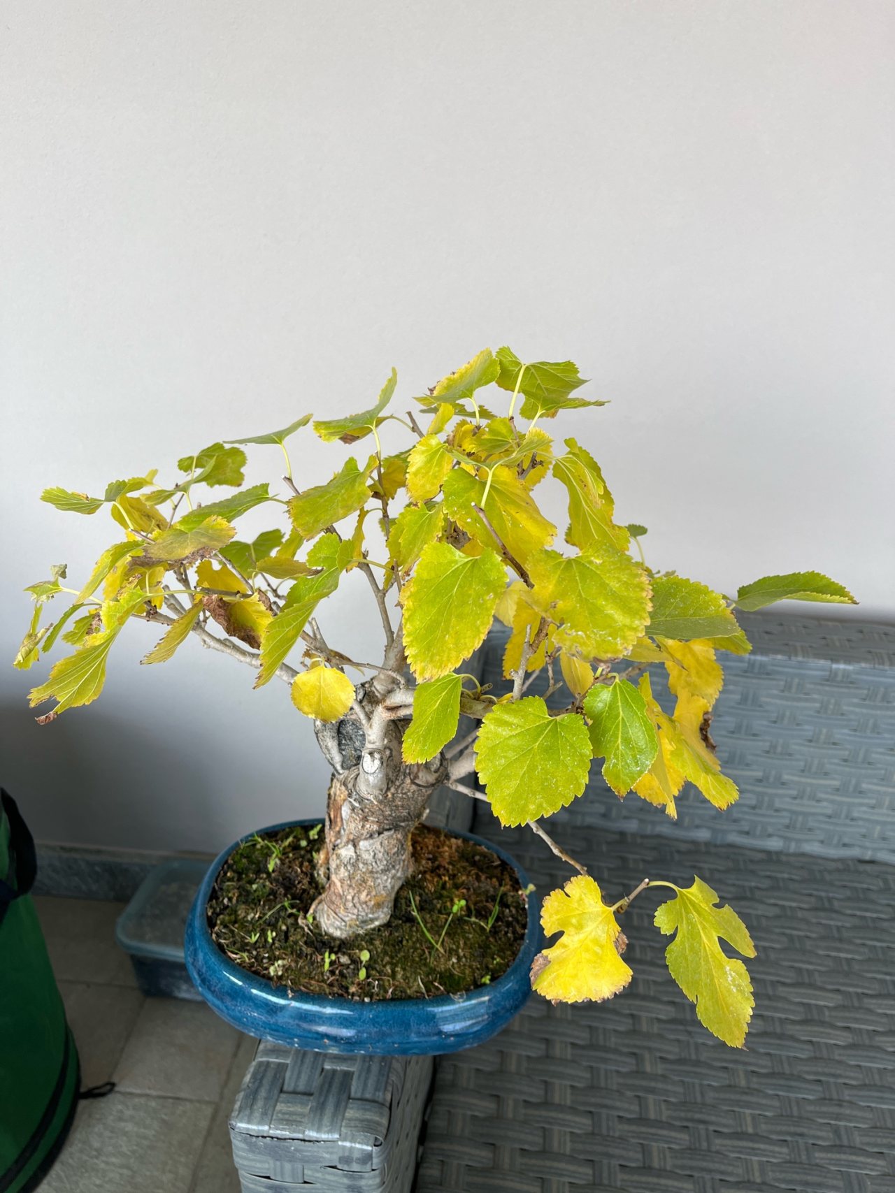 Photo 4