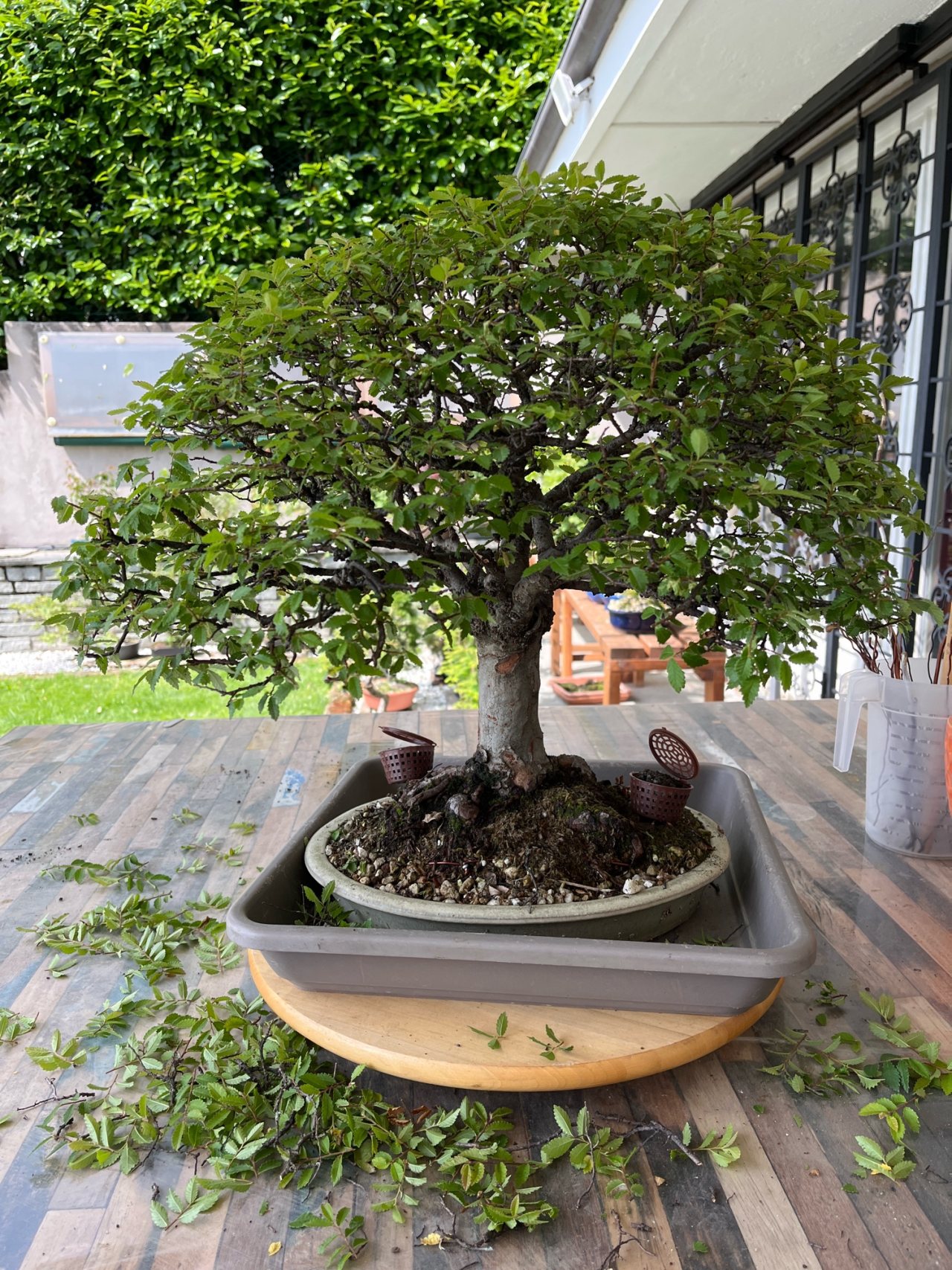 Photo 7
