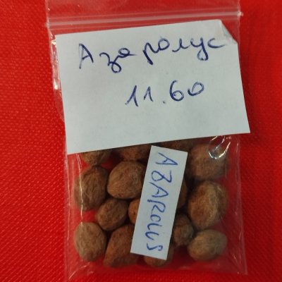 БАз02с Боярышник азароль Испания ✾