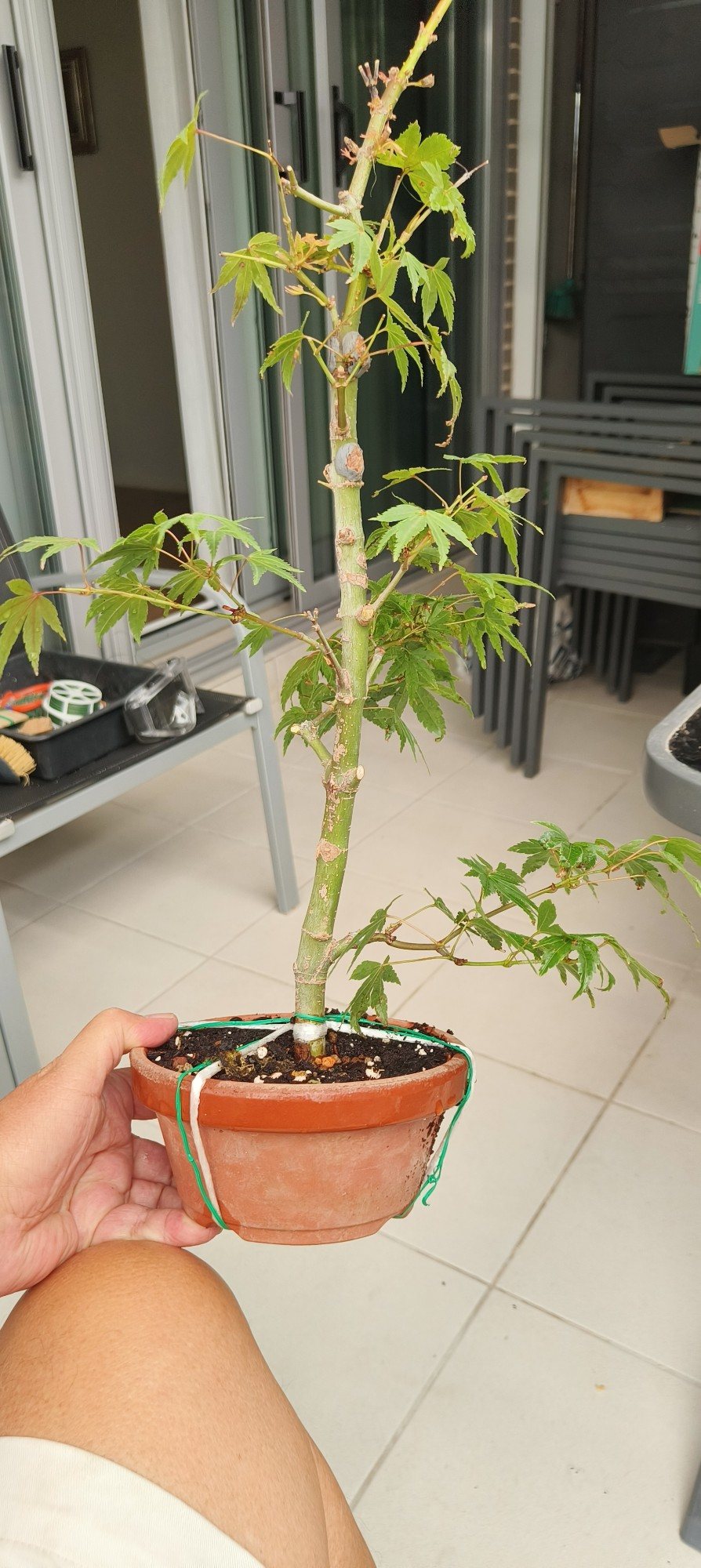 Photo 6