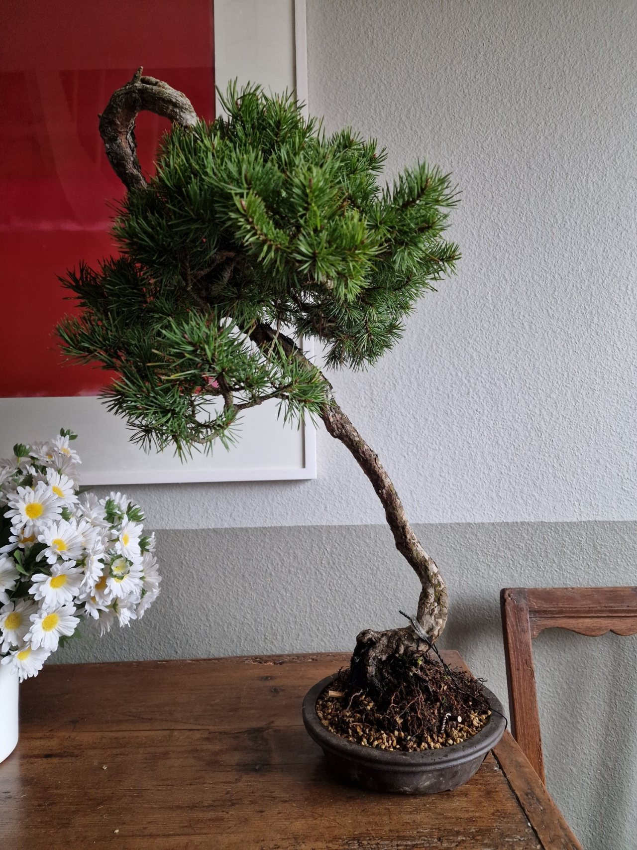 Photo 3
