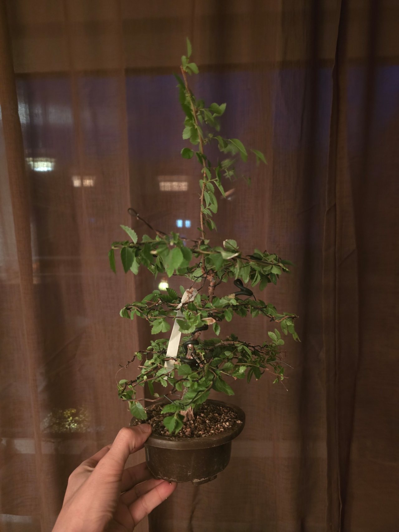 Photo 19