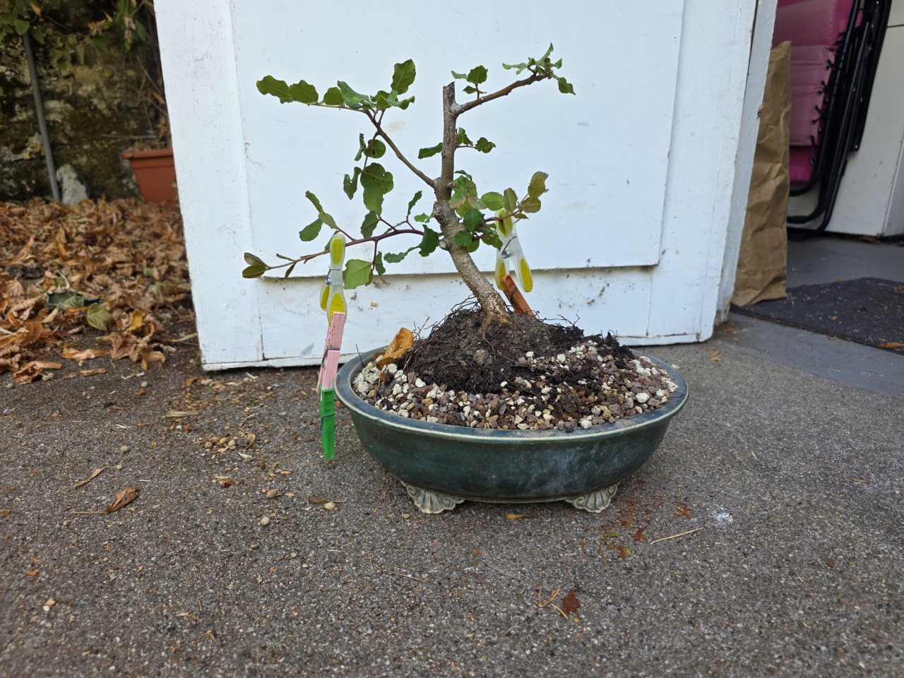 Photo 4