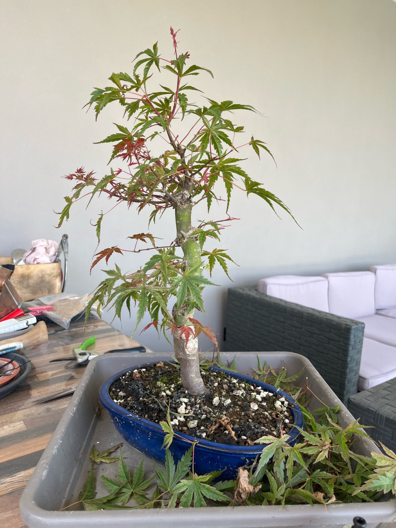 Photo 17