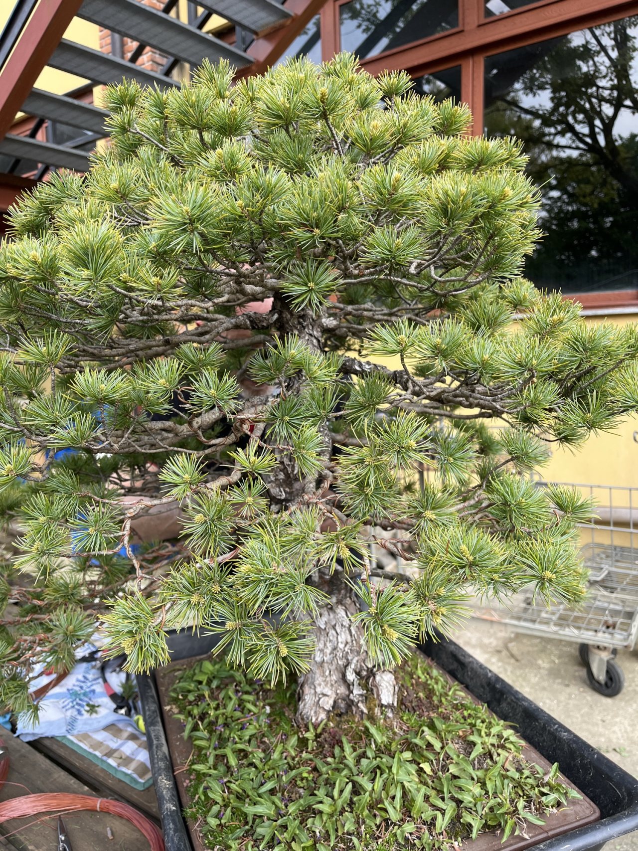 Photo 9