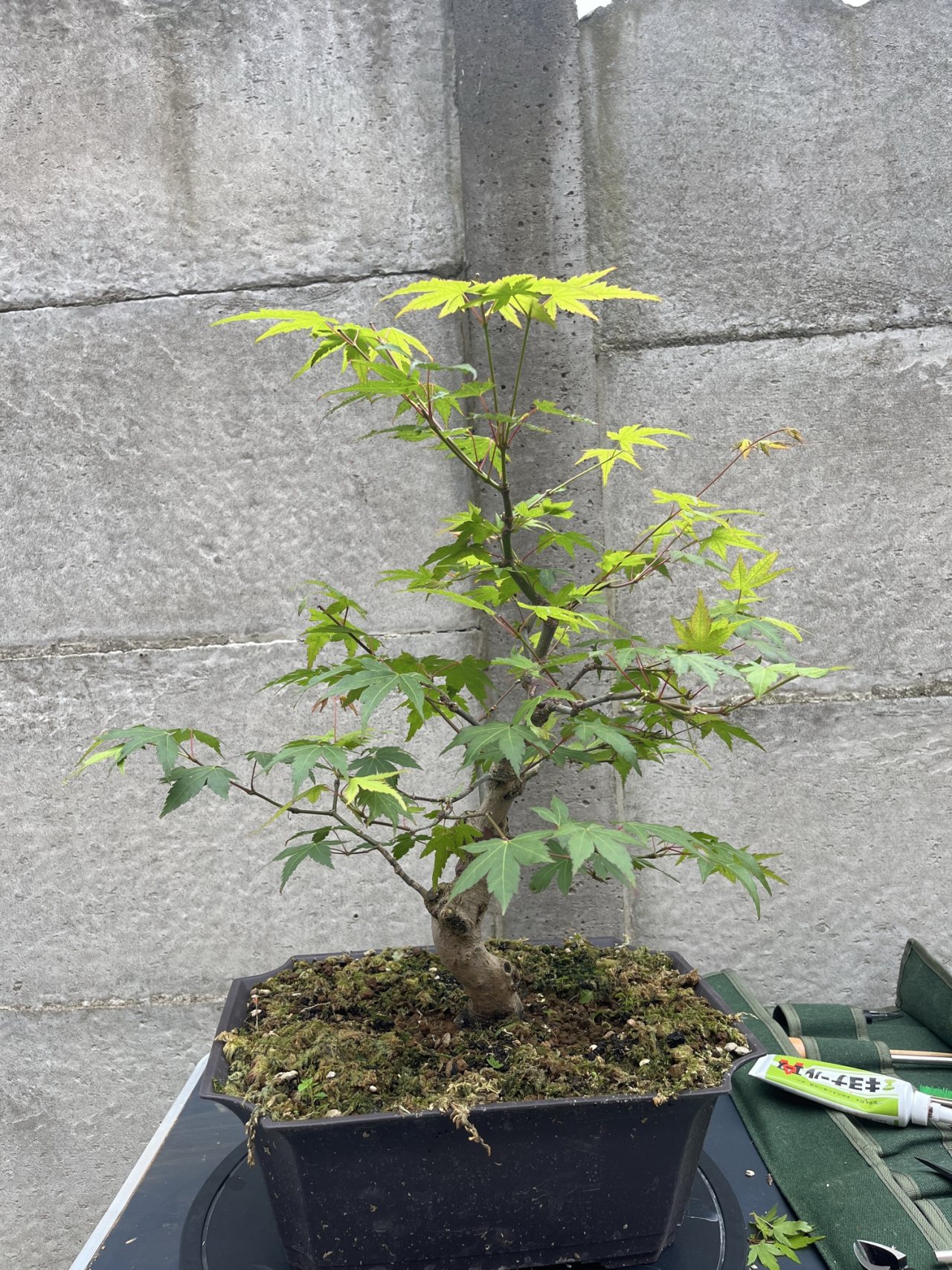 Photo 29