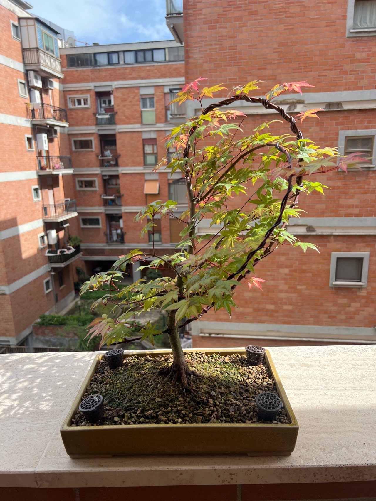 Photo 8