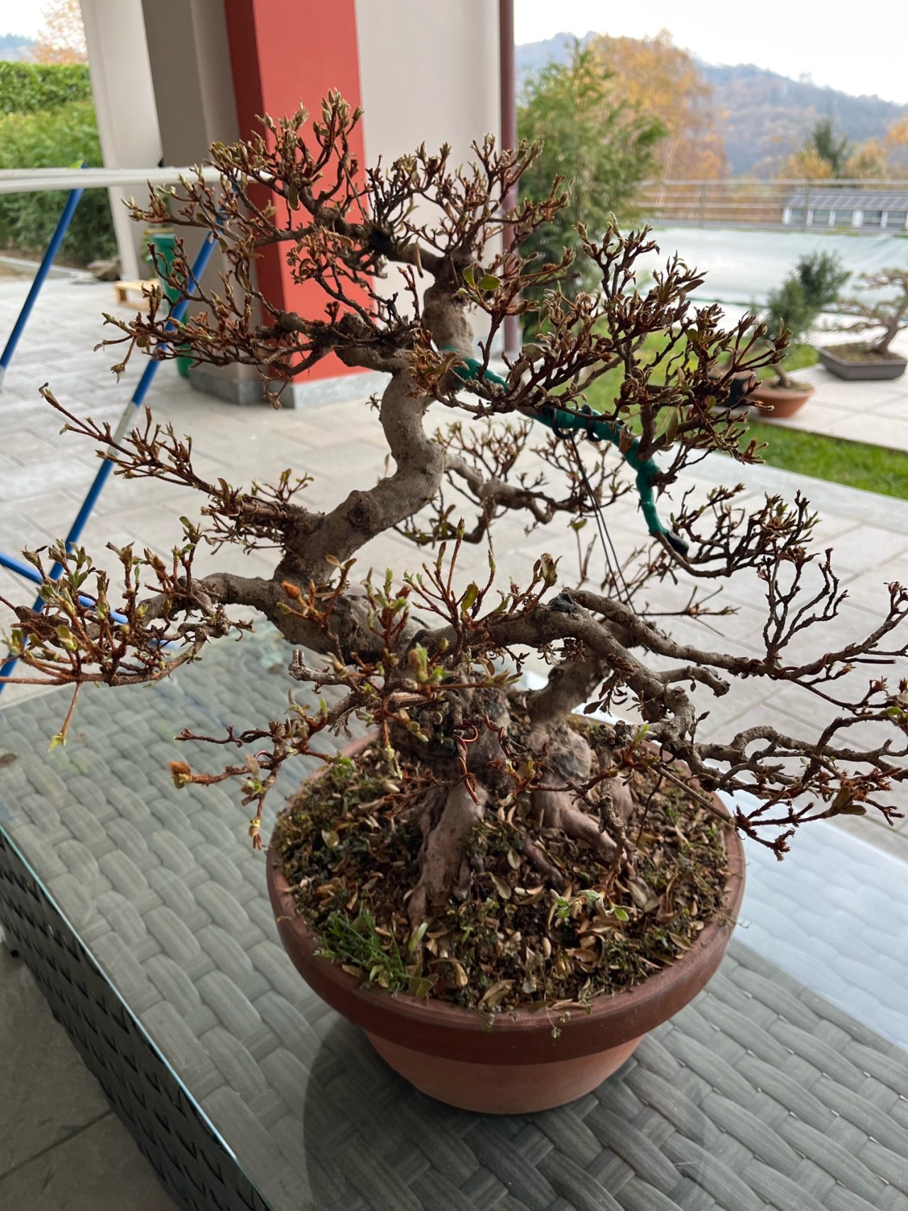 Photo 18