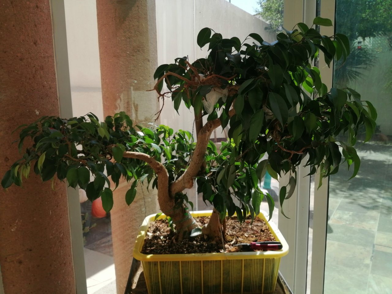 Photo 21