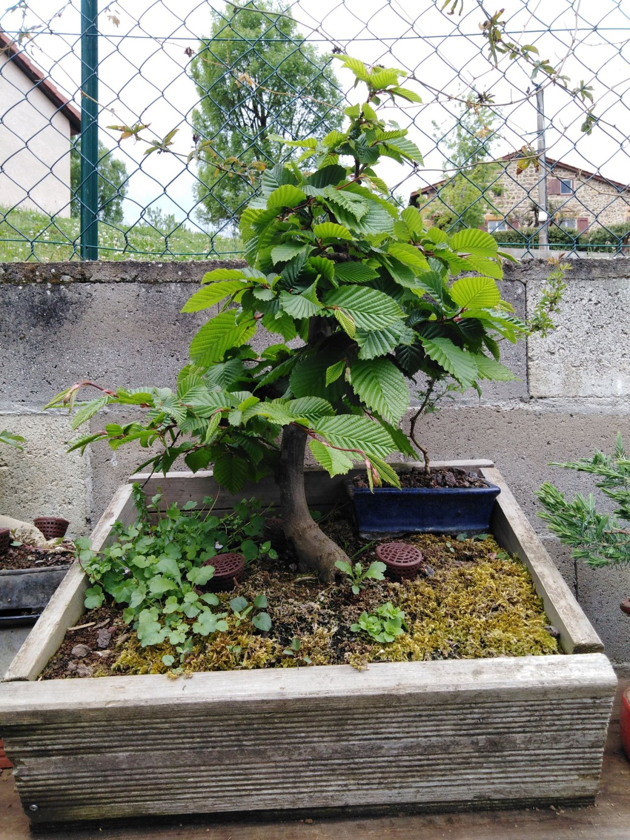 Photo 5