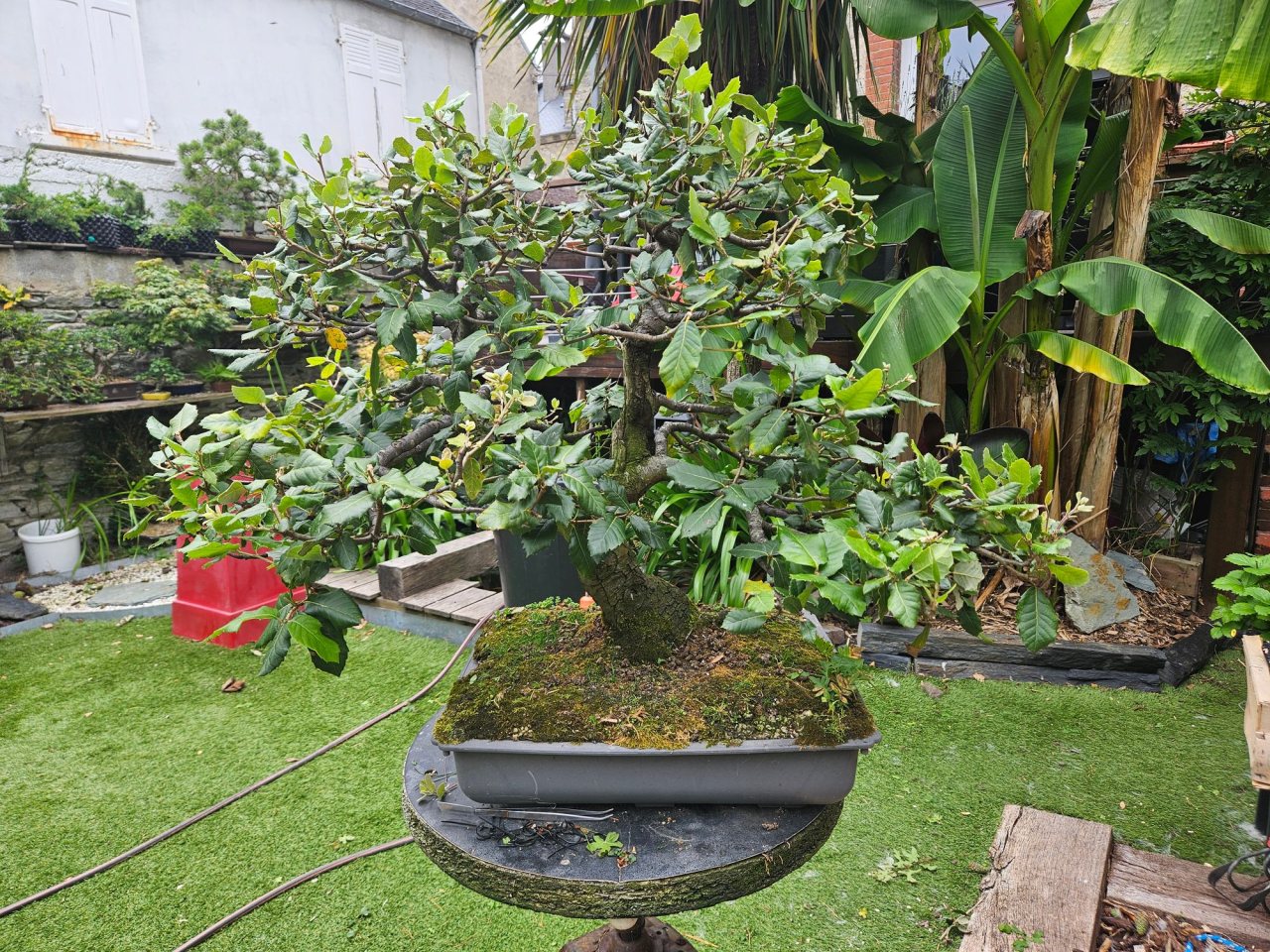 Photo 3