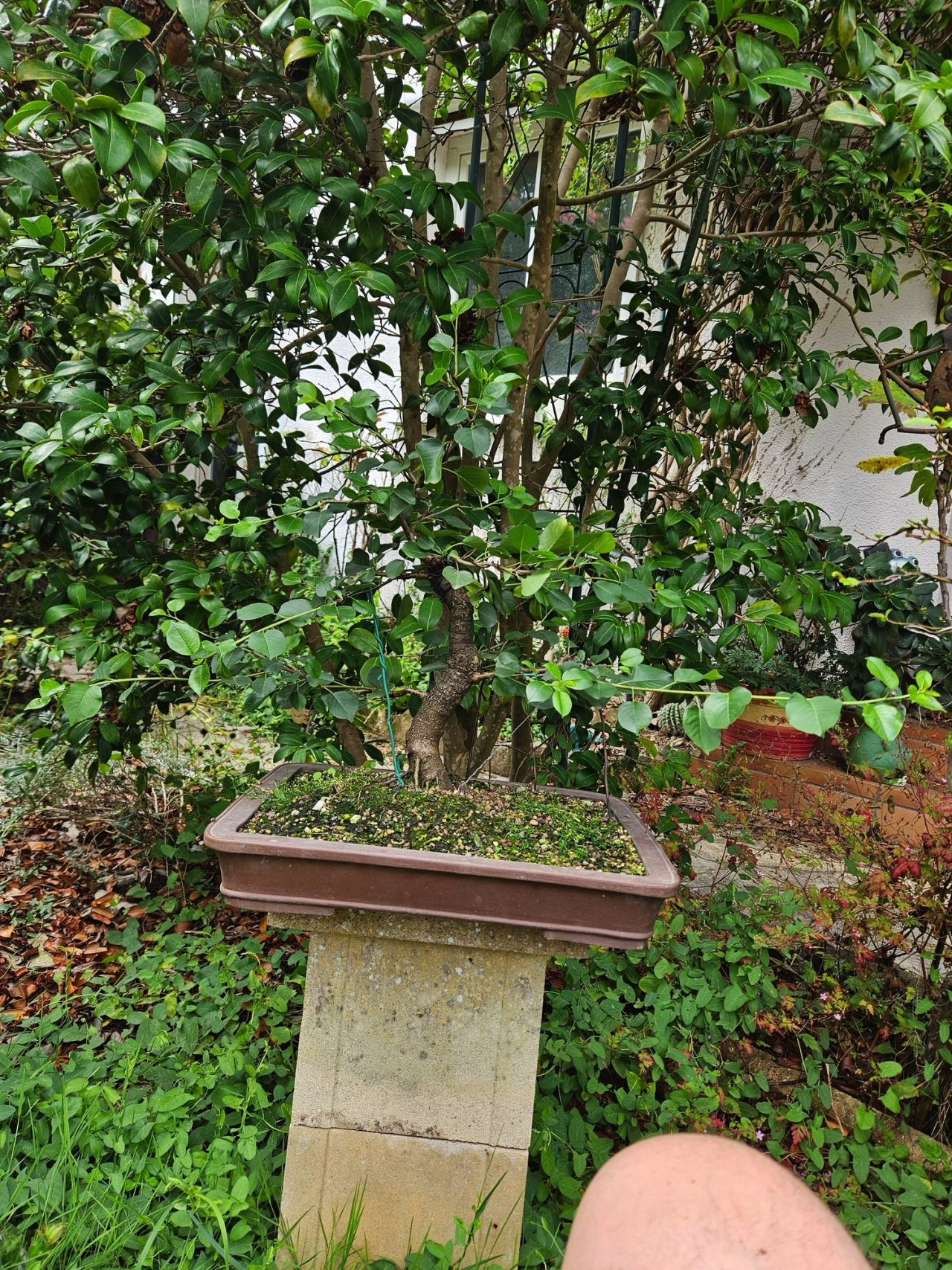 Photo 5