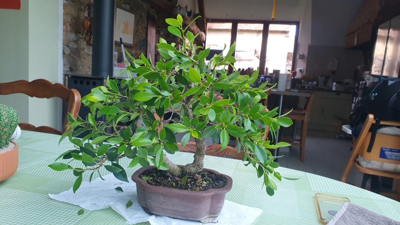 Photo 4
