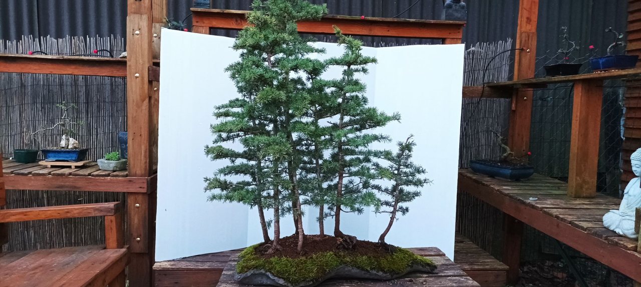 Photo 3