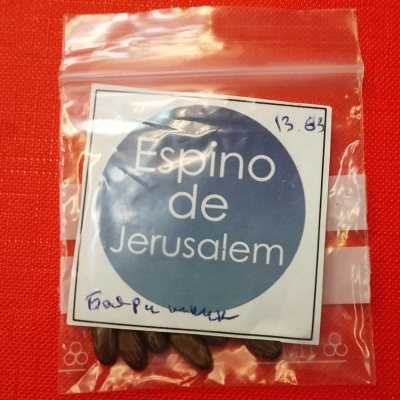 Паркинсония шиповатая семена