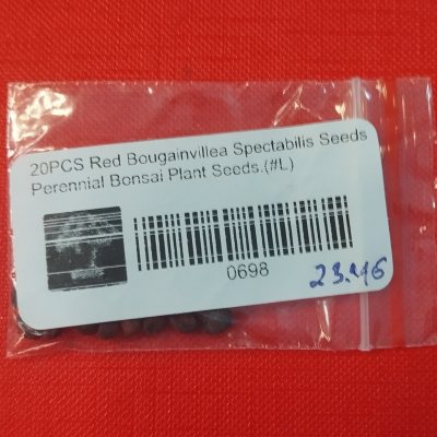 Бугенвиллея прекрасная красная БуП01с