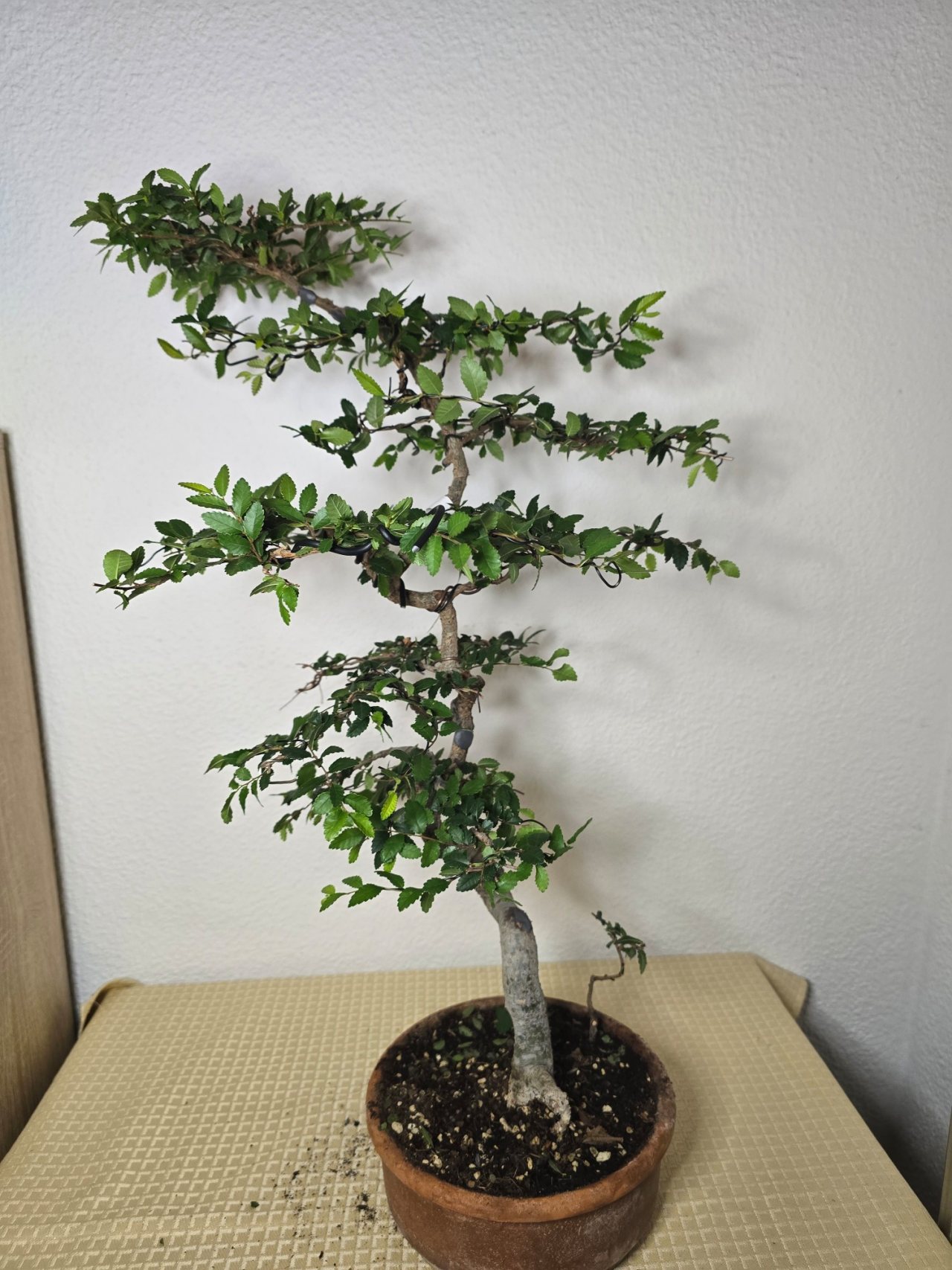 Photo 19