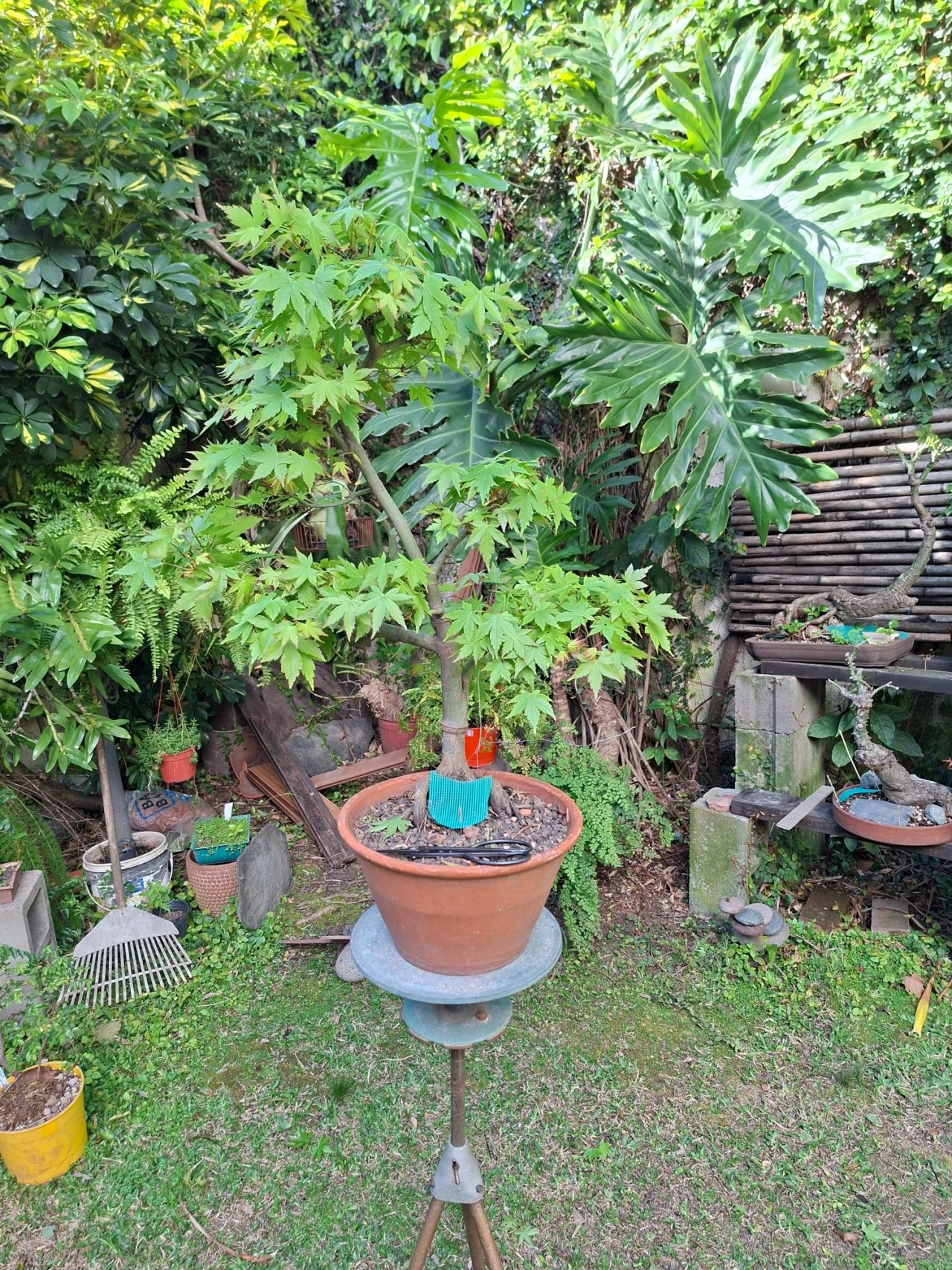 Photo 2