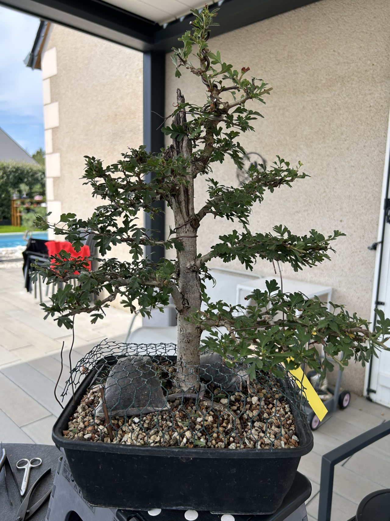 Photo 11