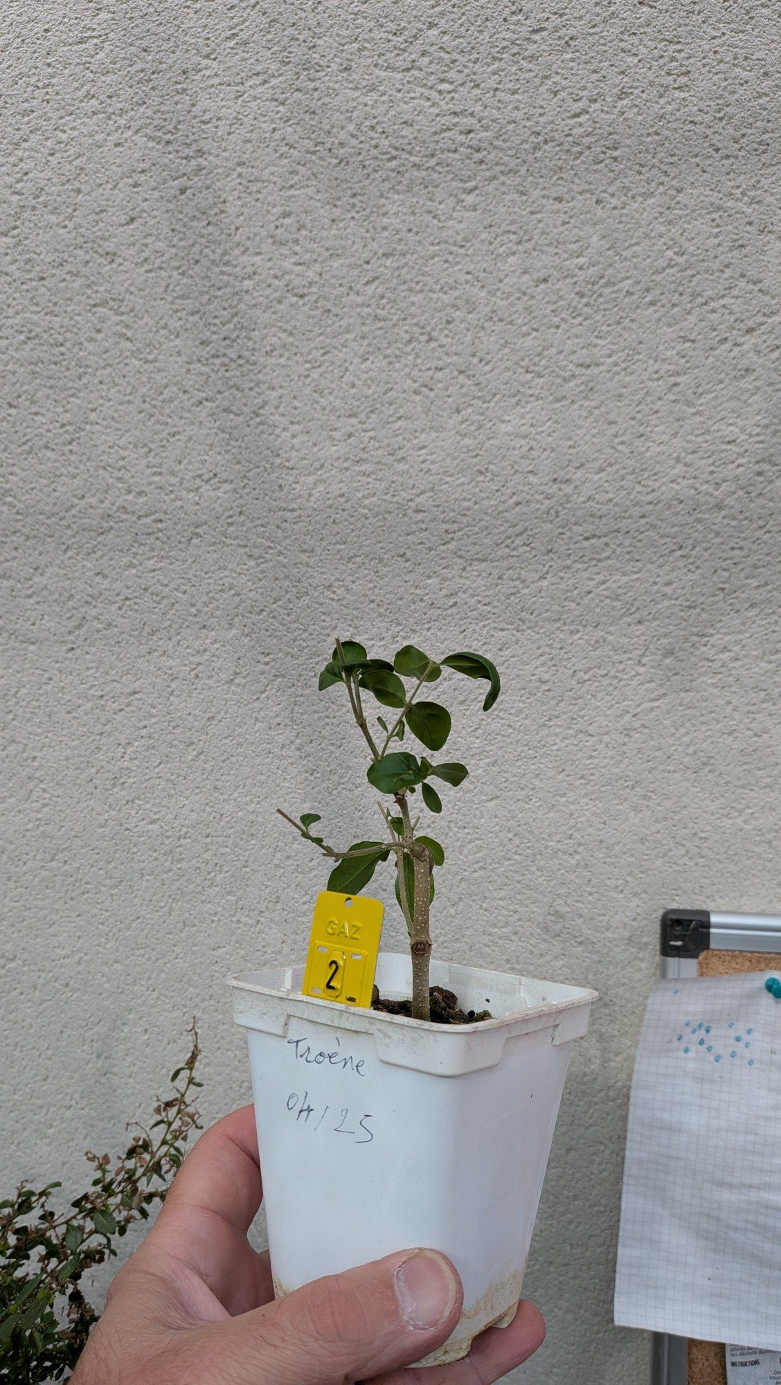 Photo 3