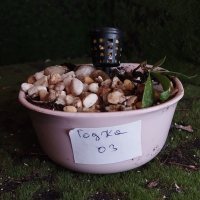 Otro - 31/1/26 - Photo 1/1