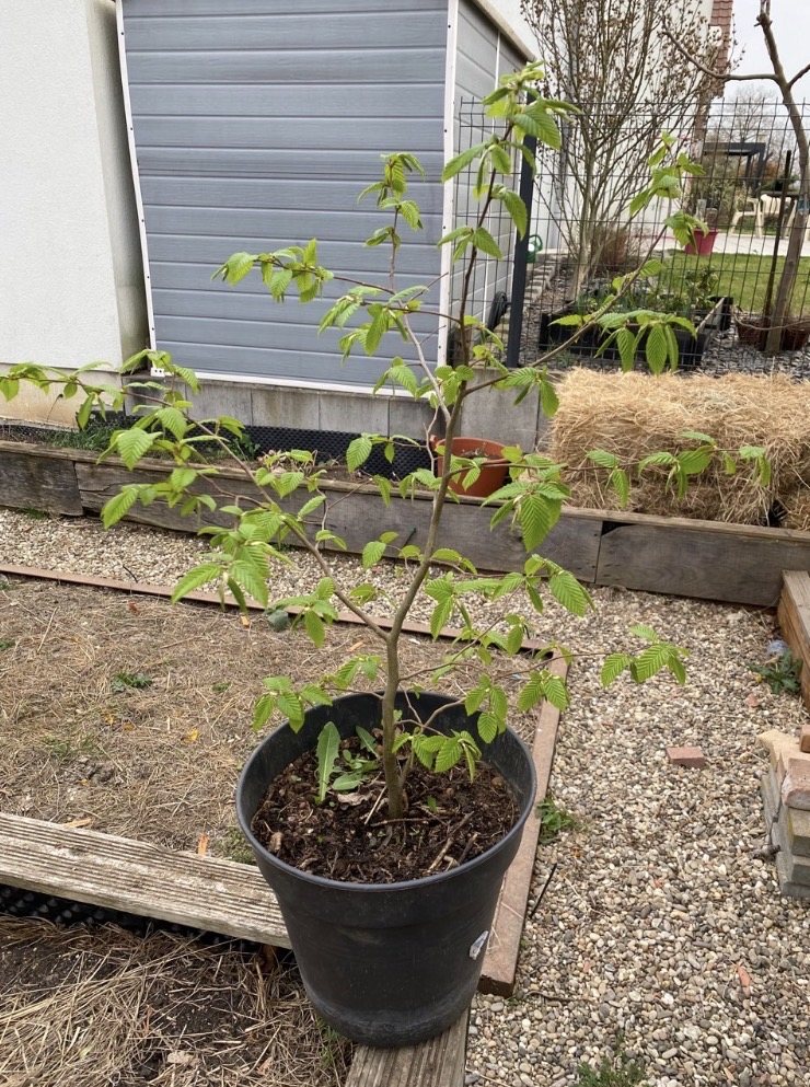 Photo 15