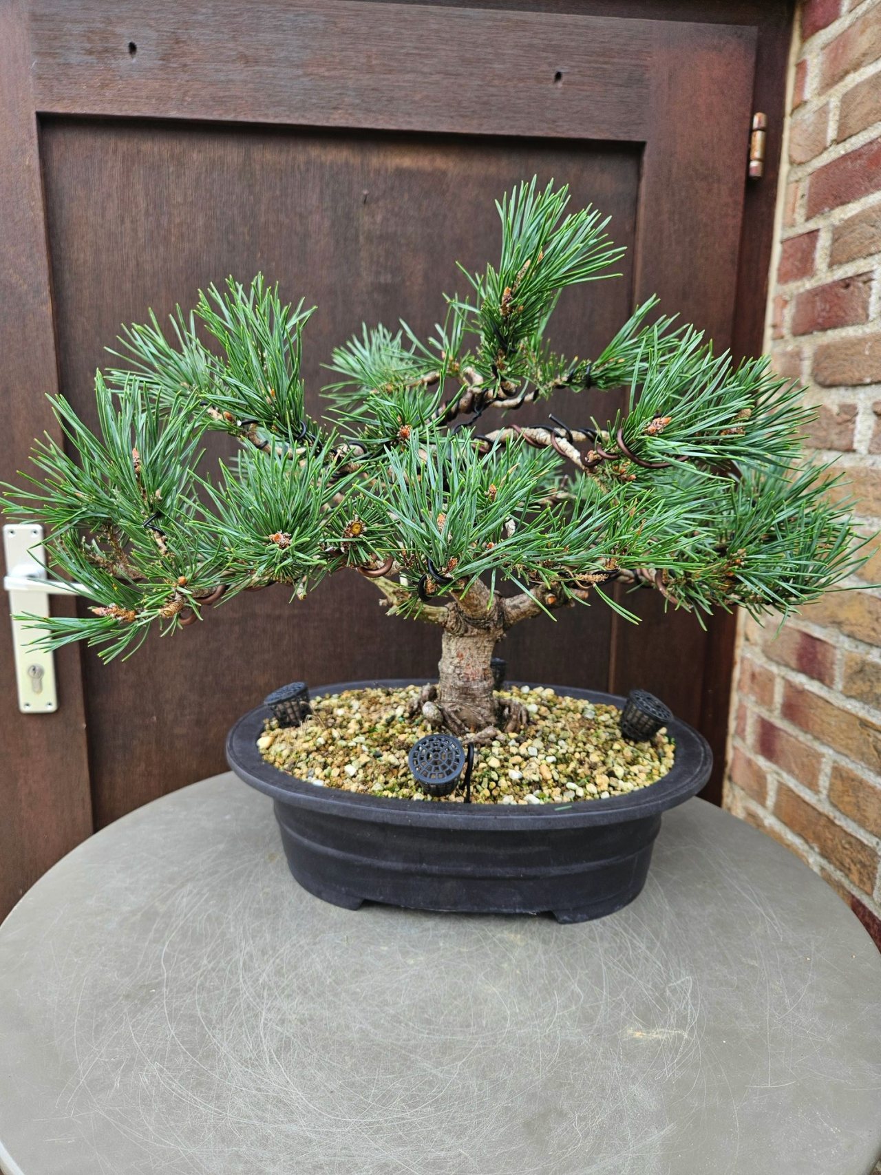 Photo 13