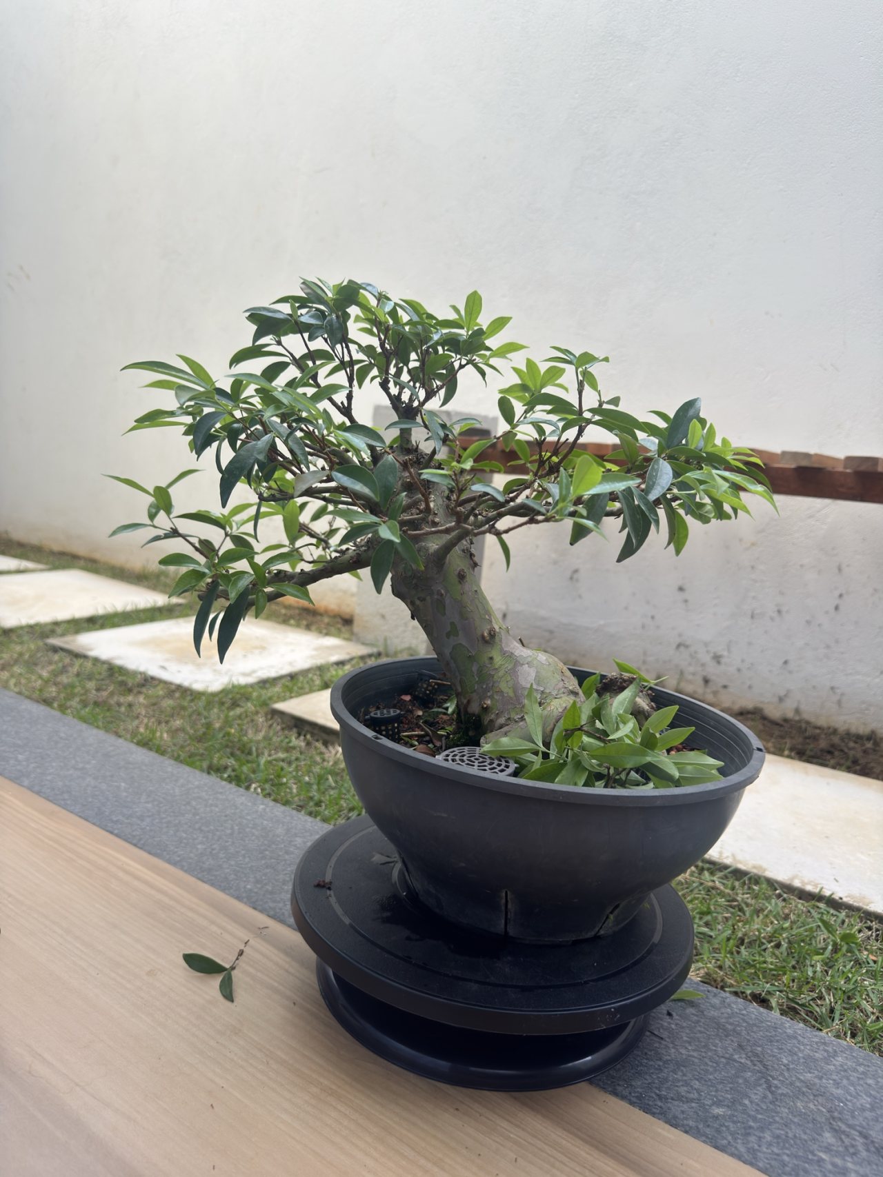 Photo 23