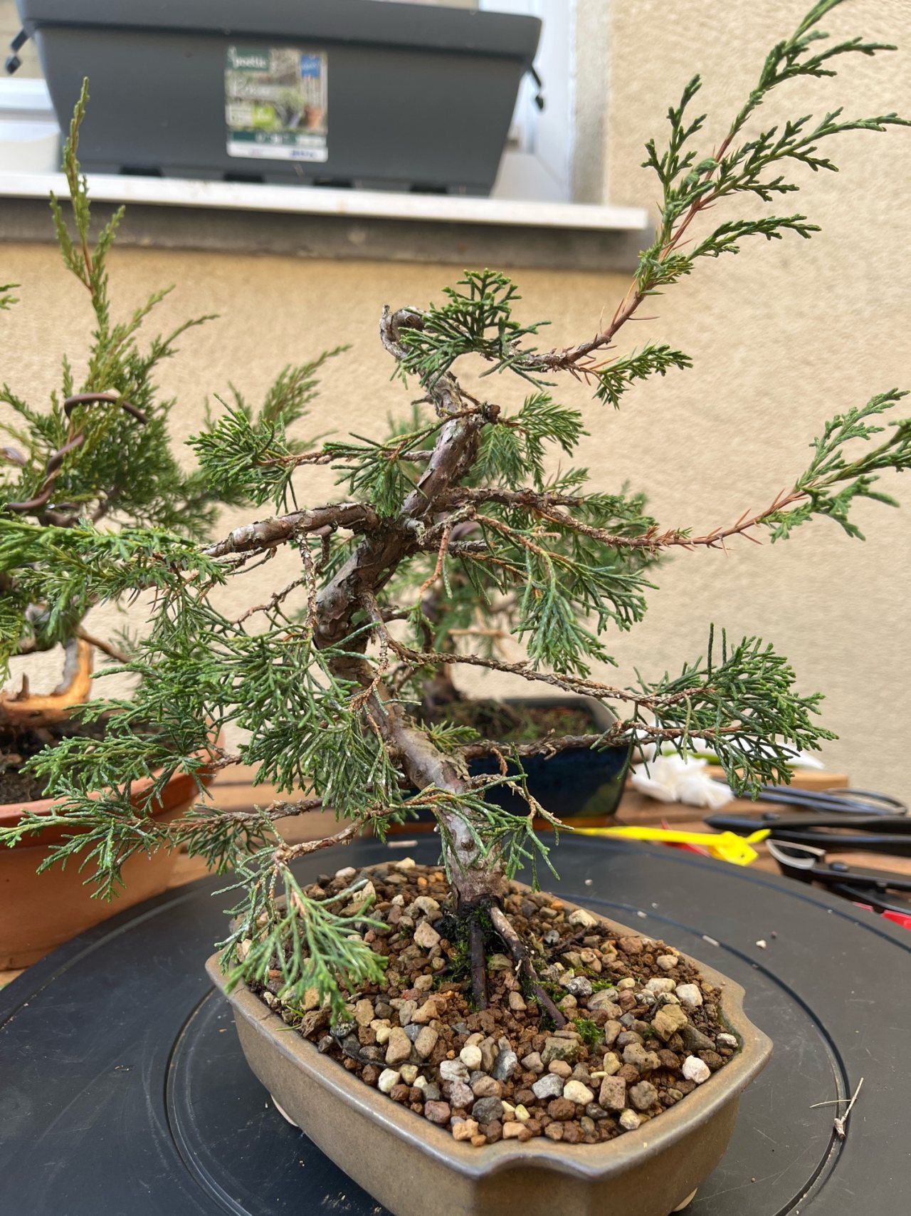 Photo 21