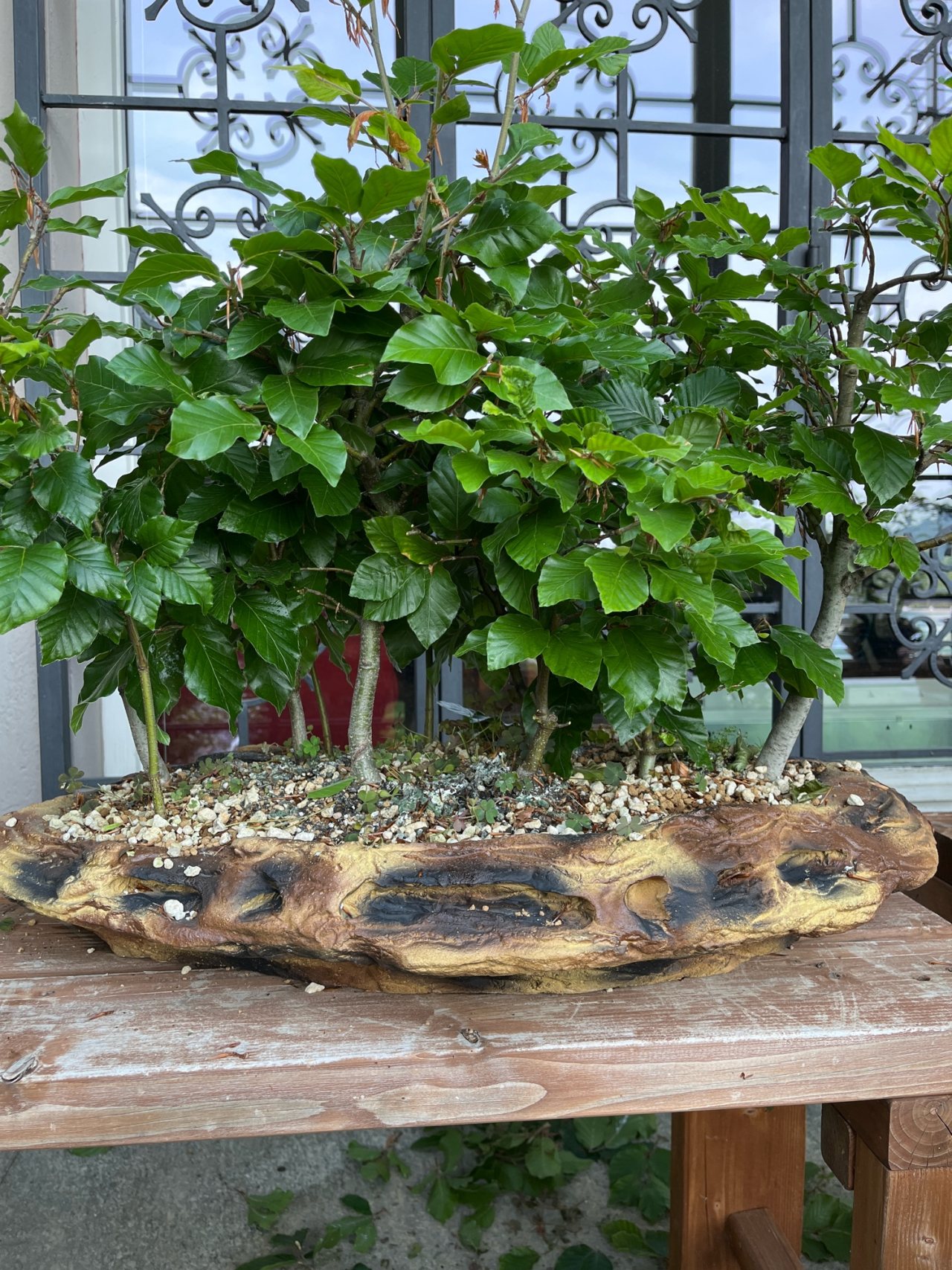 Photo 9
