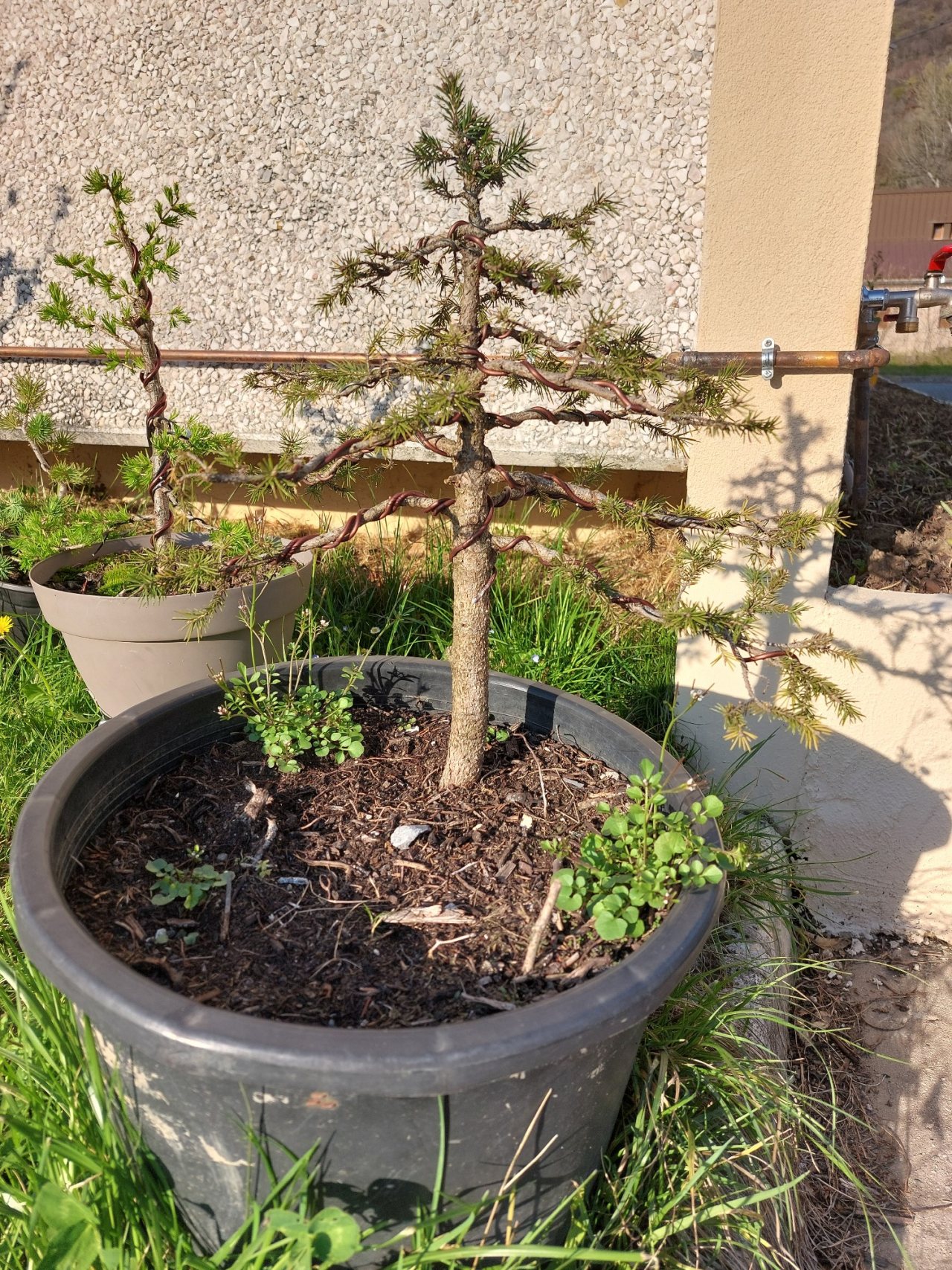 Photo 2