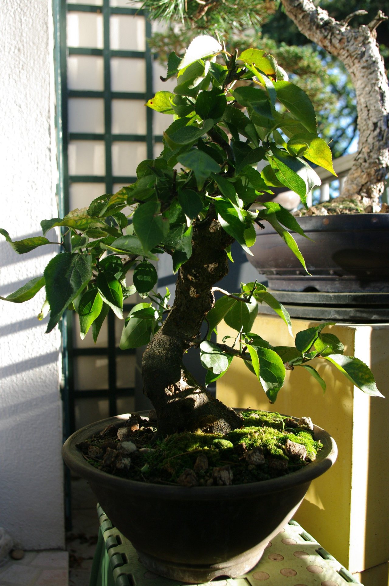 Photo 6