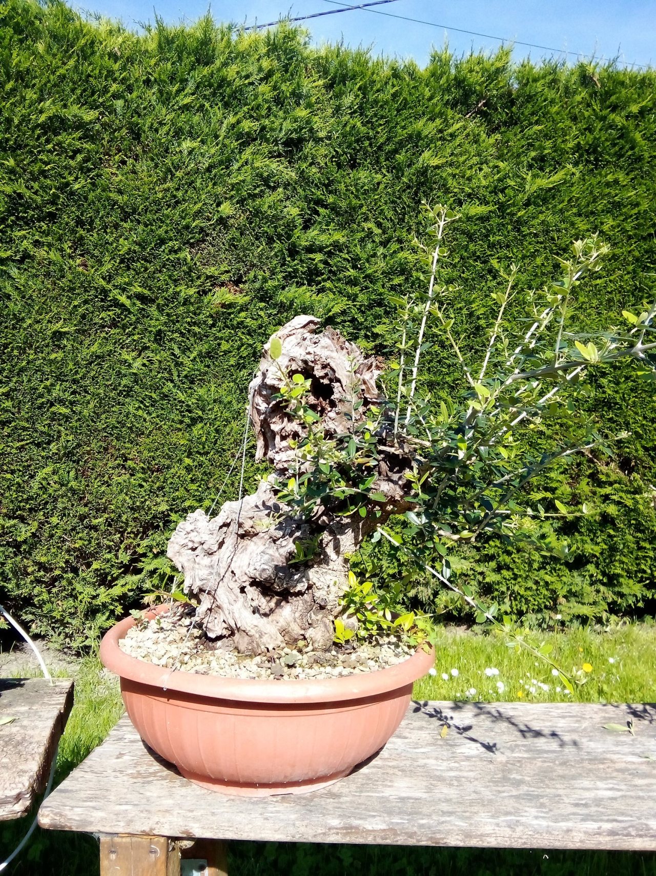 Photo 2