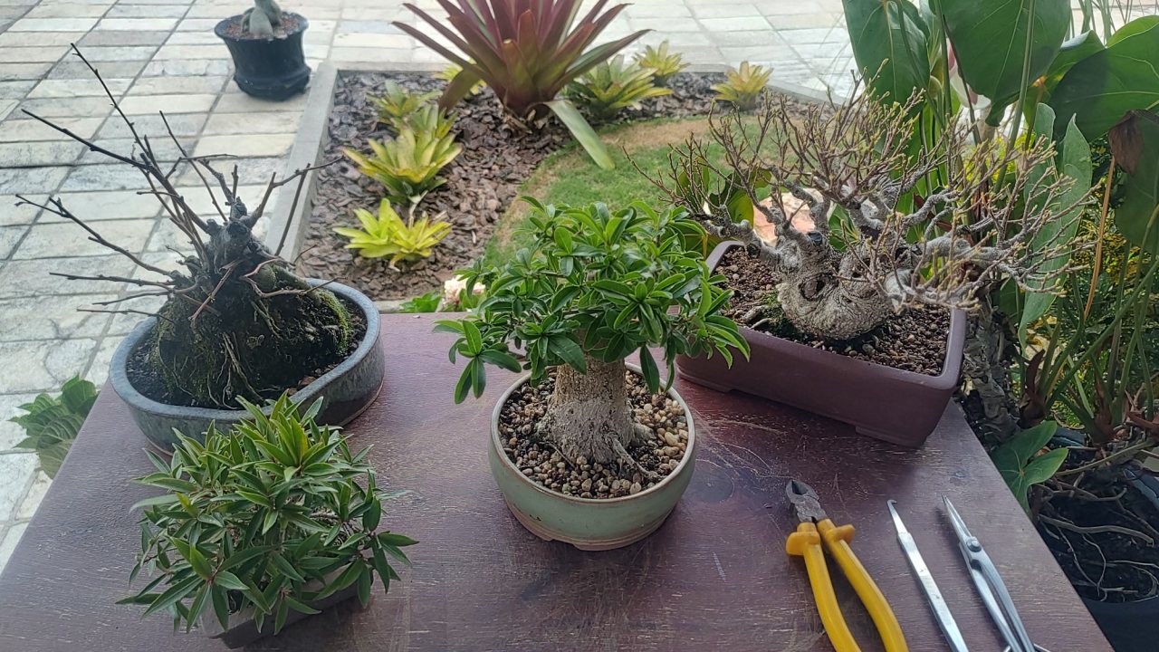 Photo 6